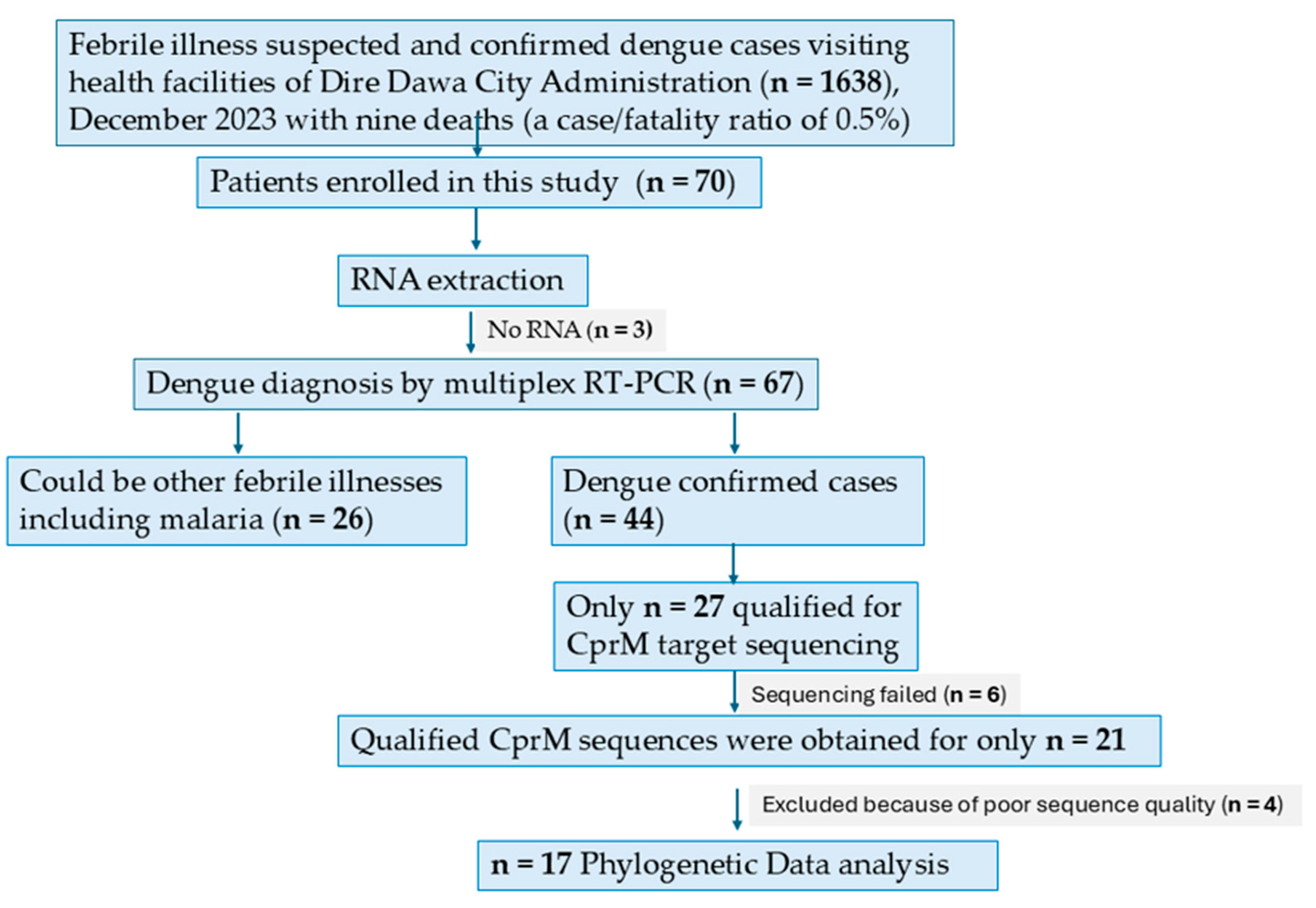 Viruses 17 00346 g002