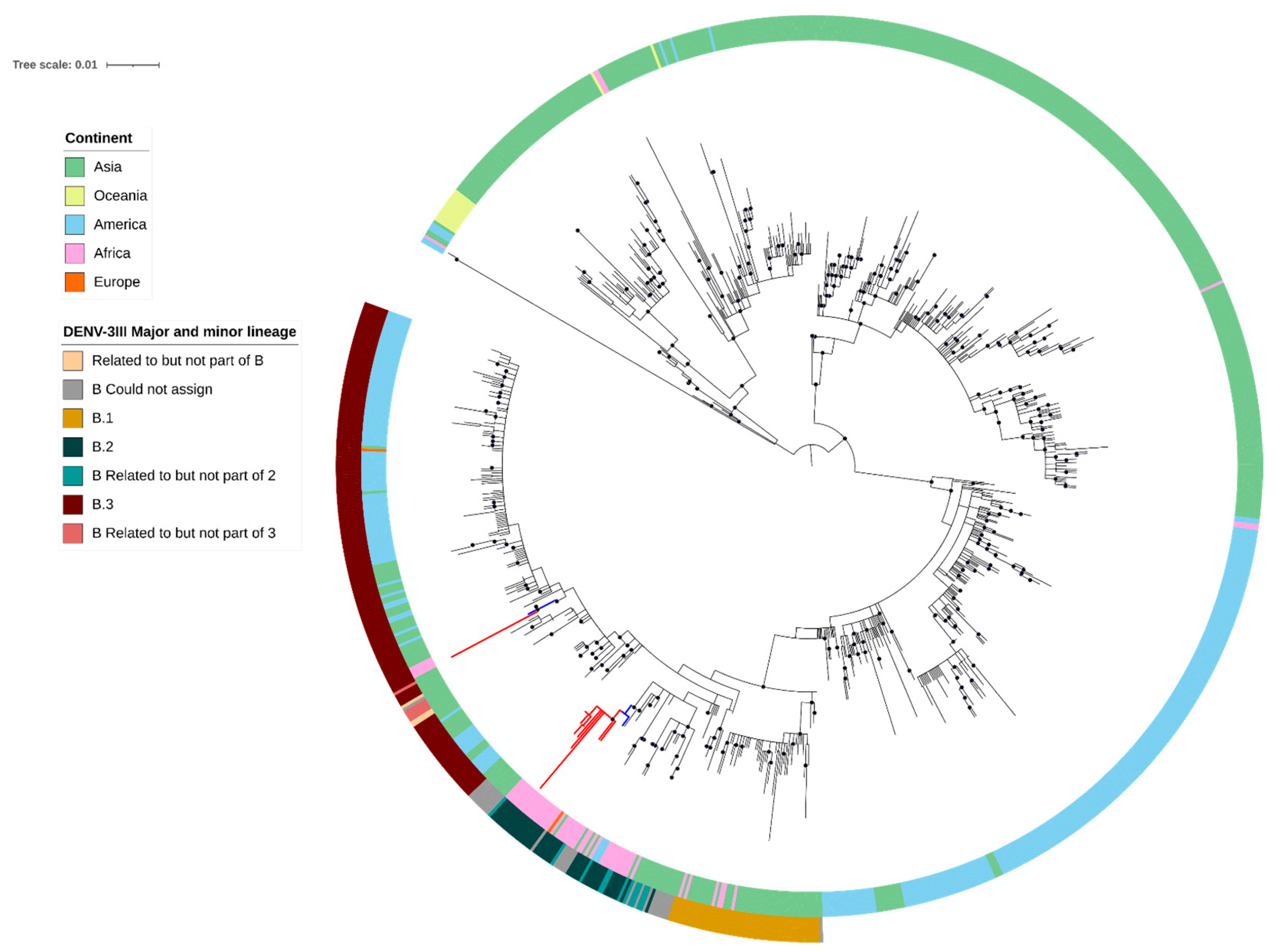 Viruses 17 00346 g003