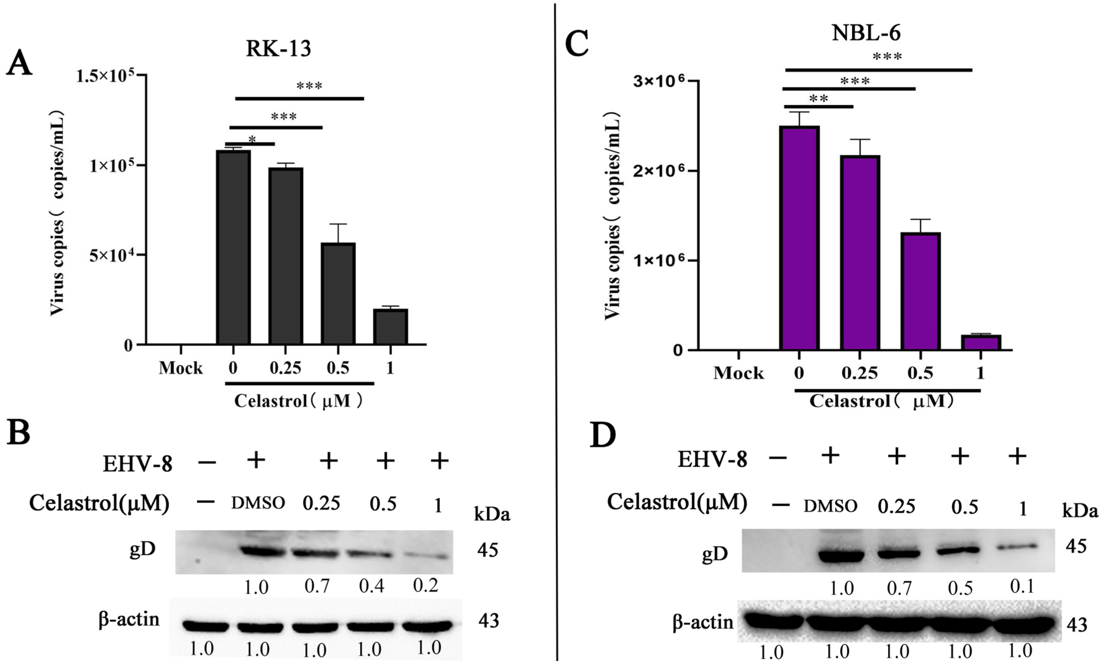 Viruses 17 00347 g002