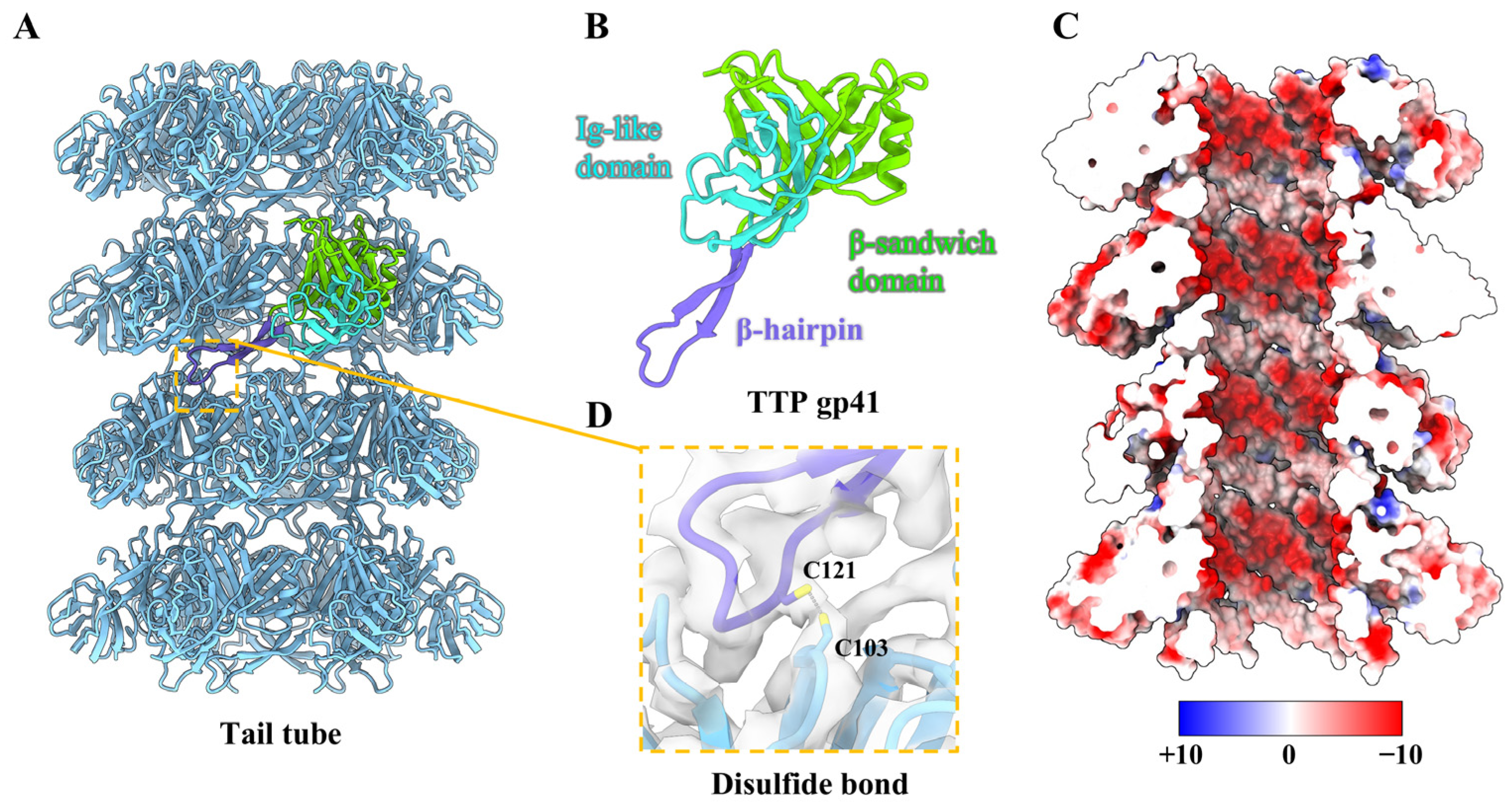 Viruses 17 00351 g004