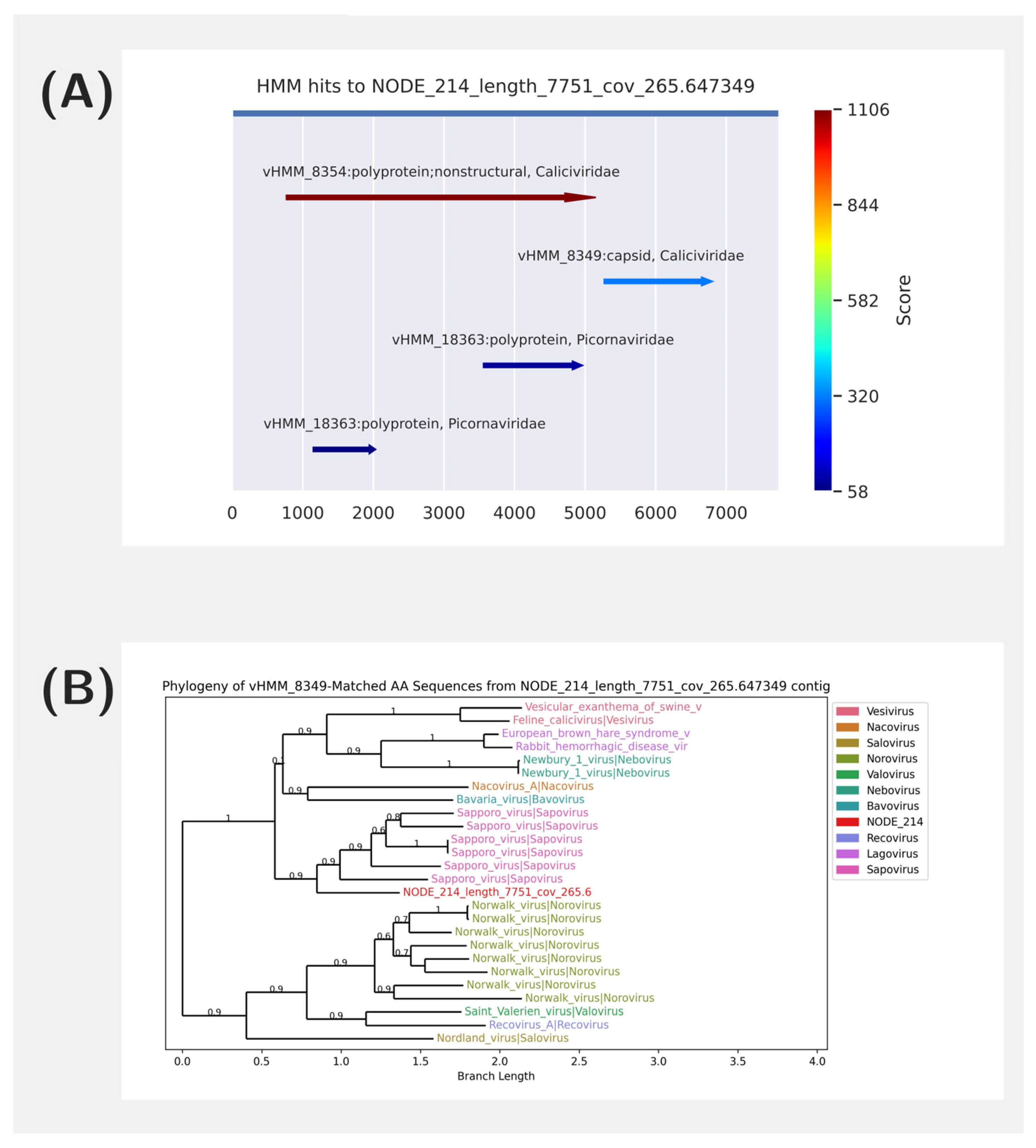 Viruses 17 00355 g004
