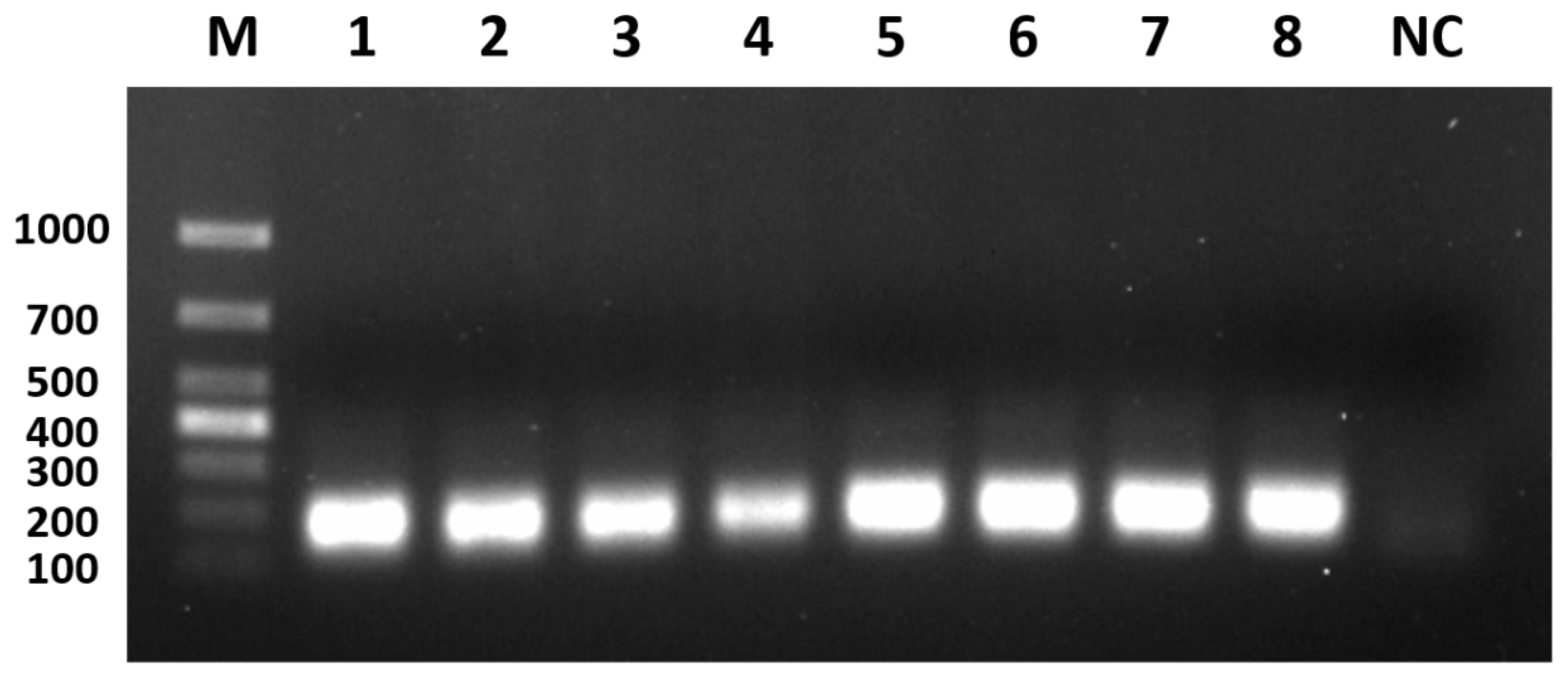 Viruses 17 00358 g003 Viruses 17 00358 g003