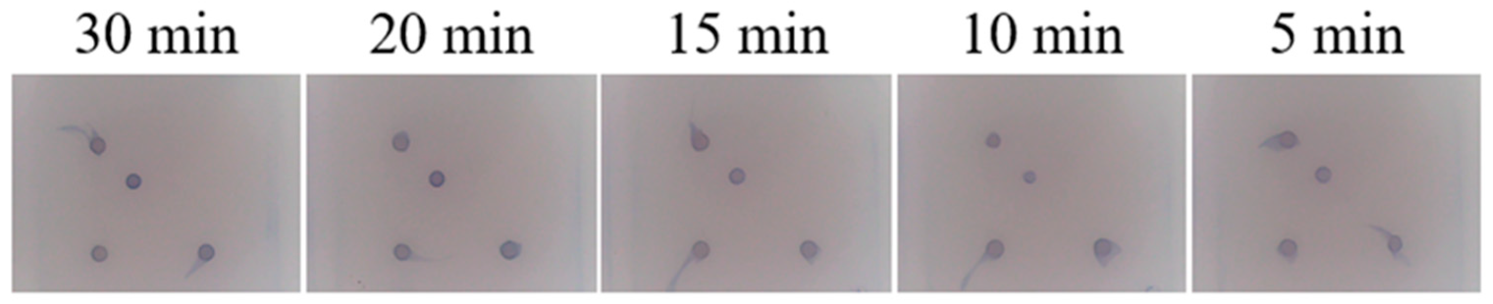 Viruses 17 00358 g006 Viruses 17 00358 g006