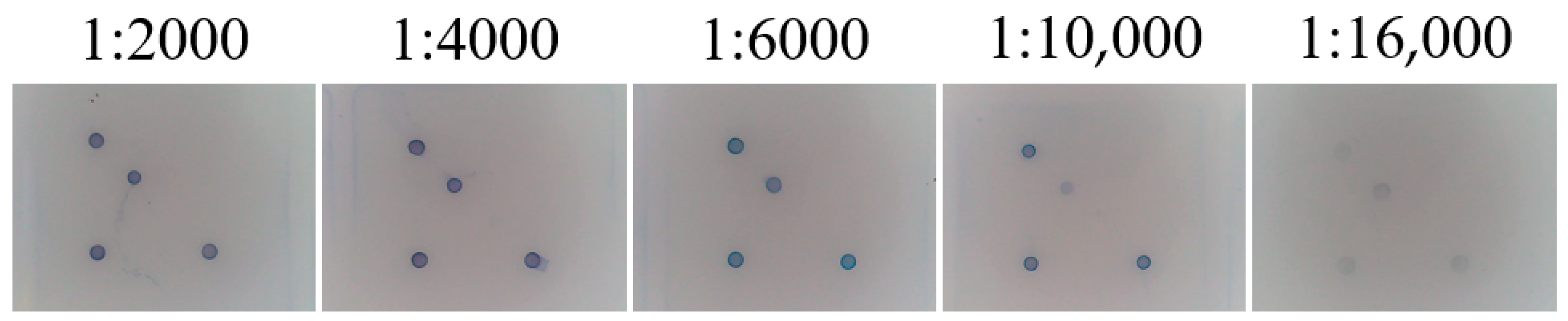 Viruses 17 00358 g007 Viruses 17 00358 g007