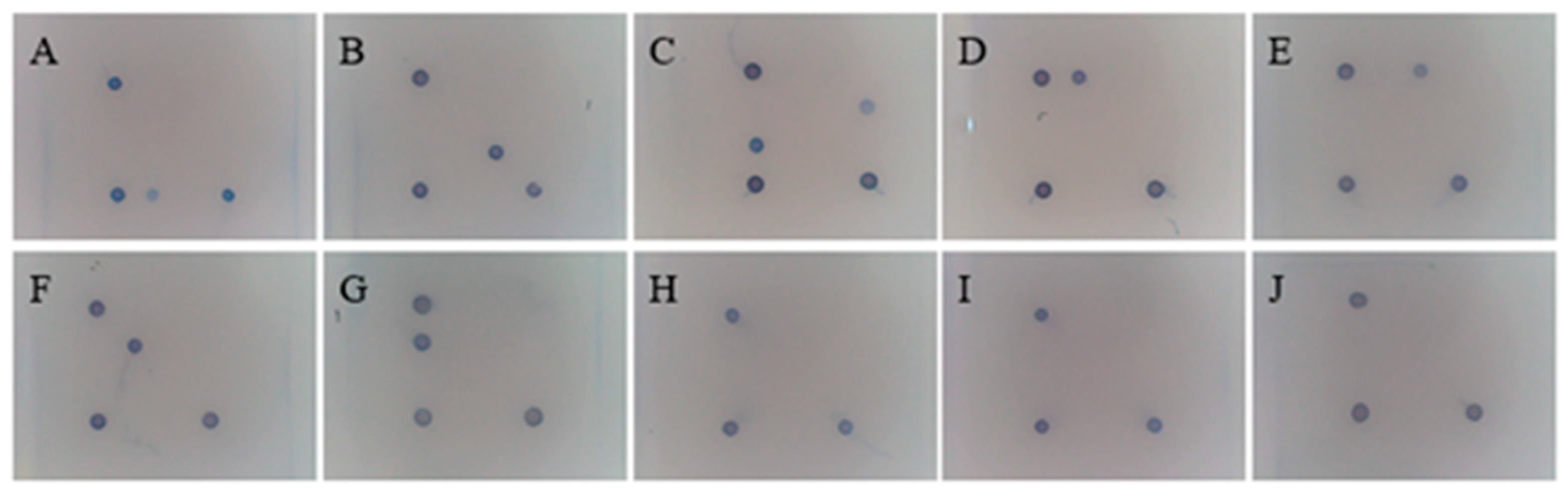 Viruses 17 00358 g008 Viruses 17 00358 g008