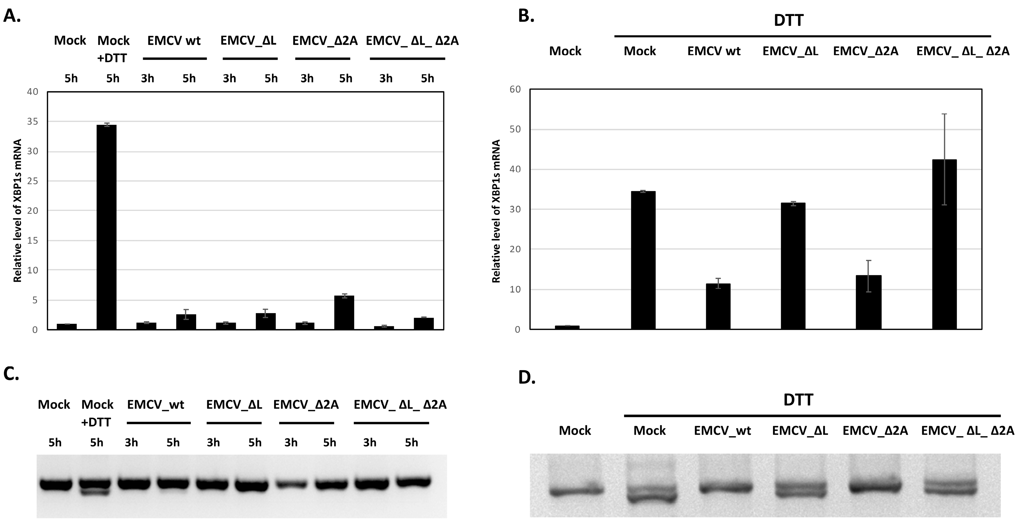 Viruses 17 00360 g003