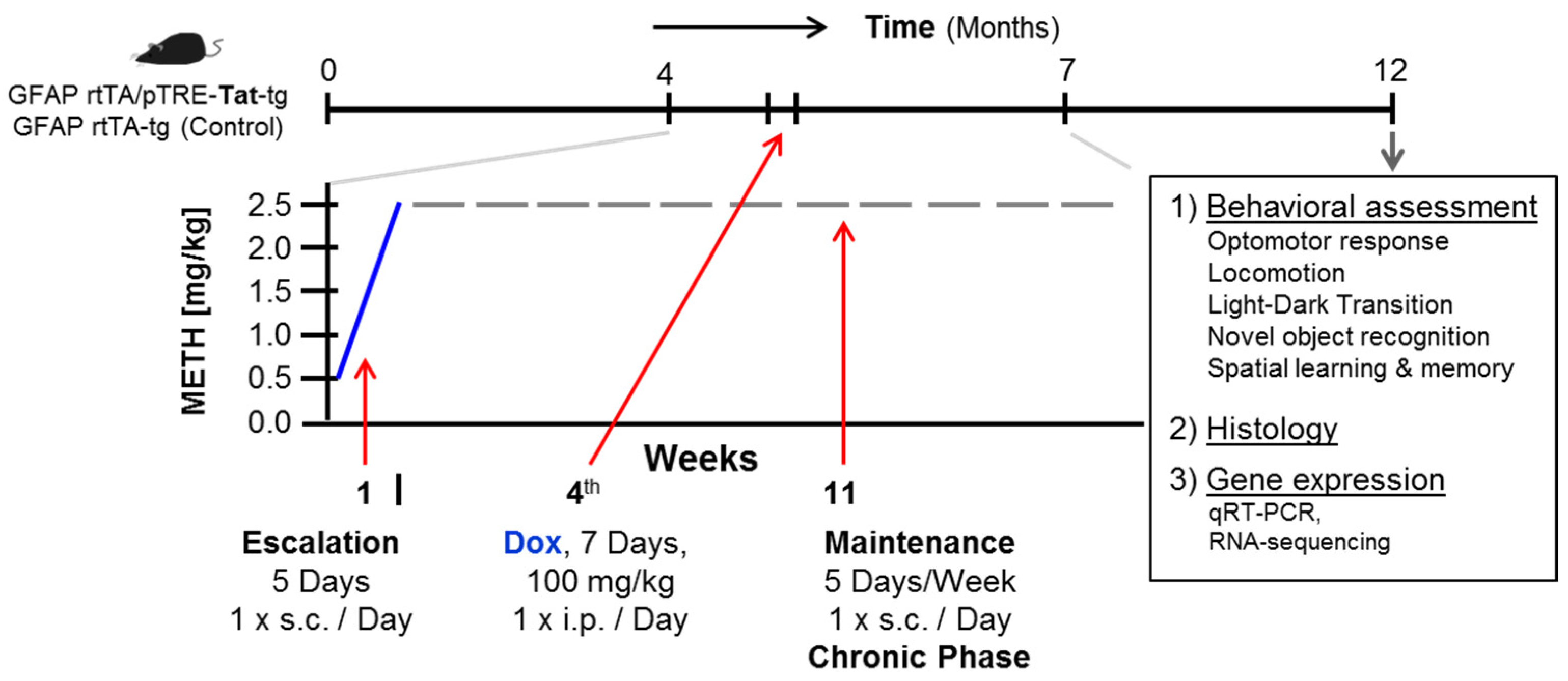 Viruses 17 00361 g001