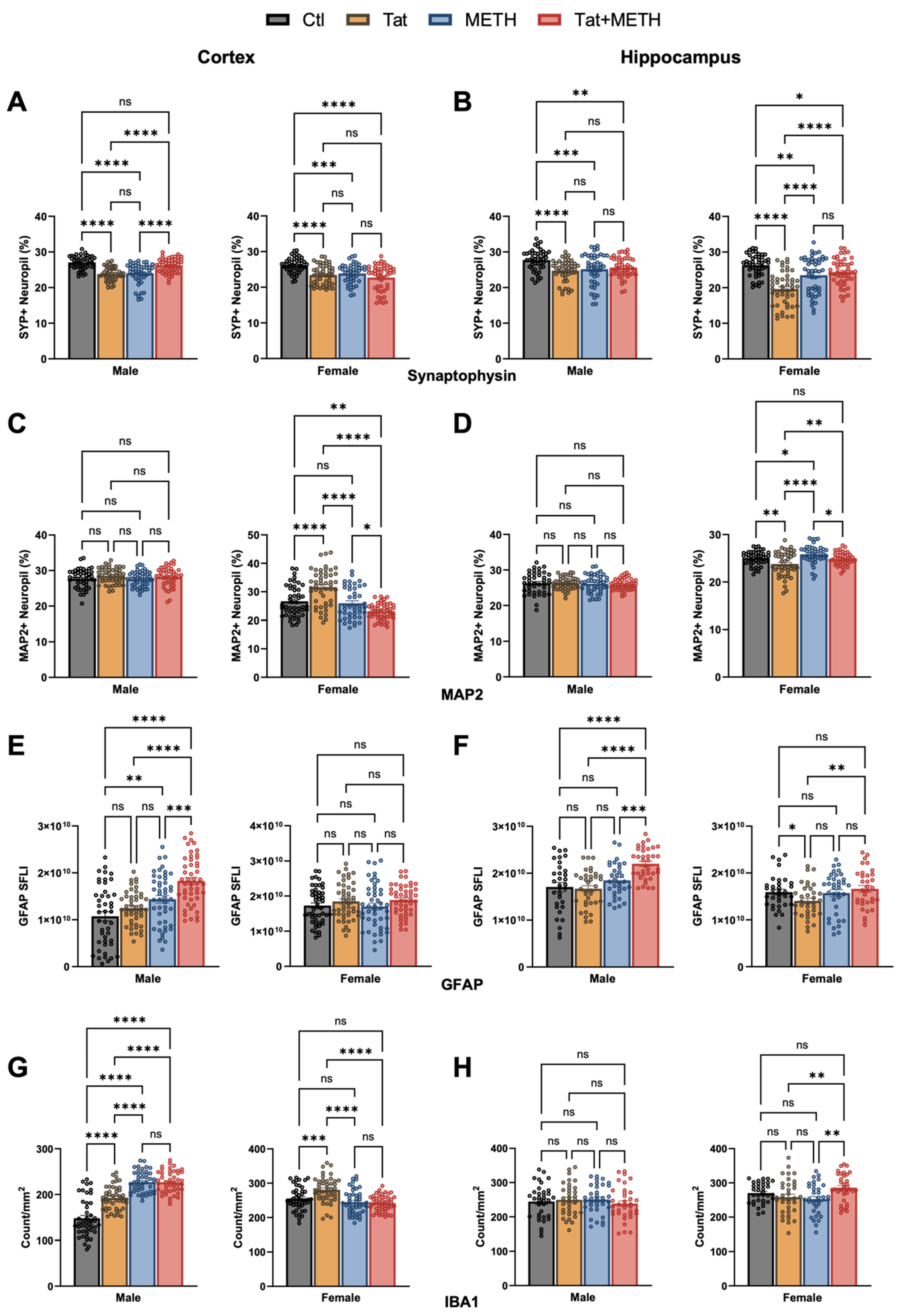 Viruses 17 00361 g004