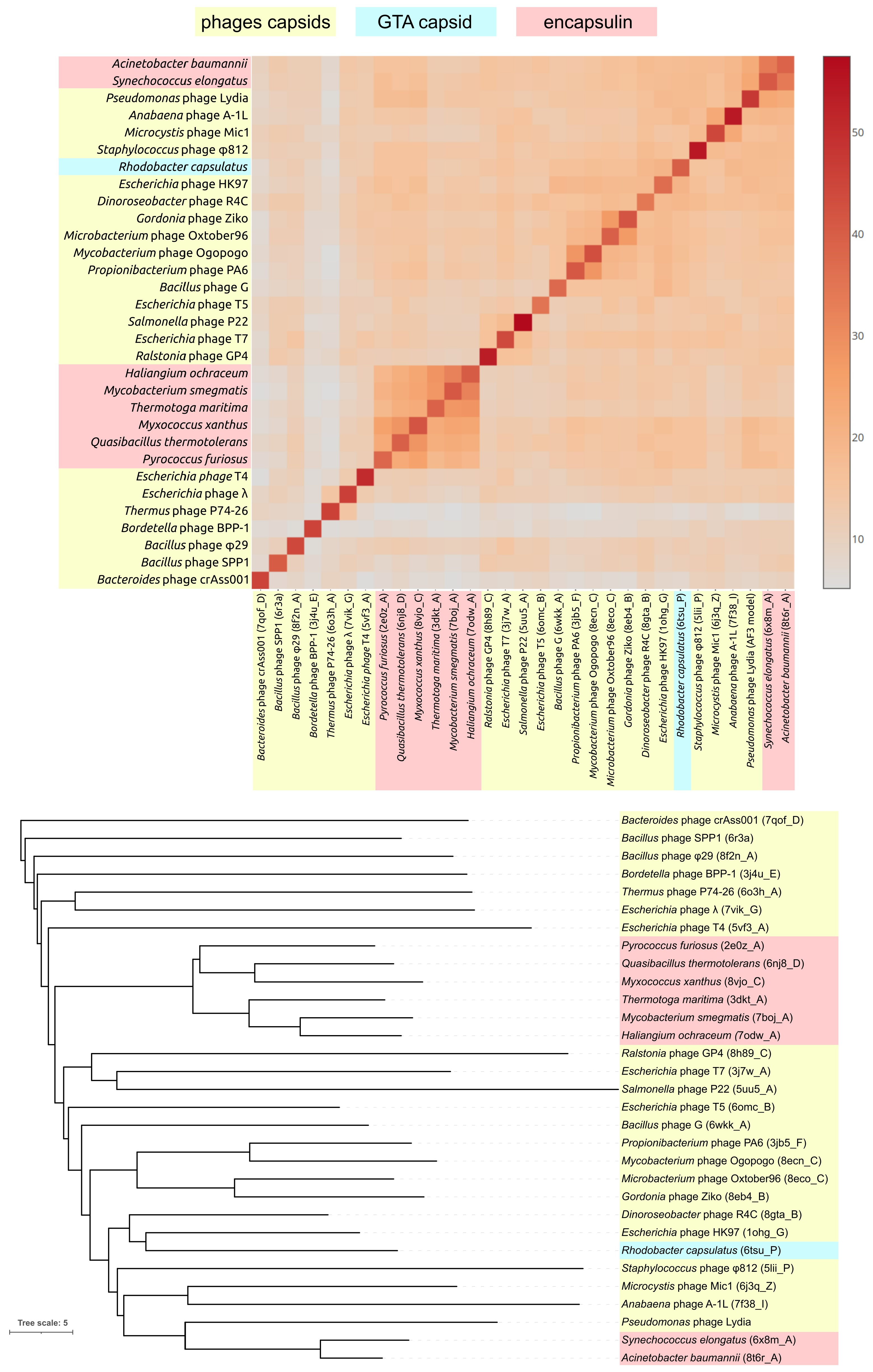 Viruses 17 00369 g004 Viruses 17 00369 g004