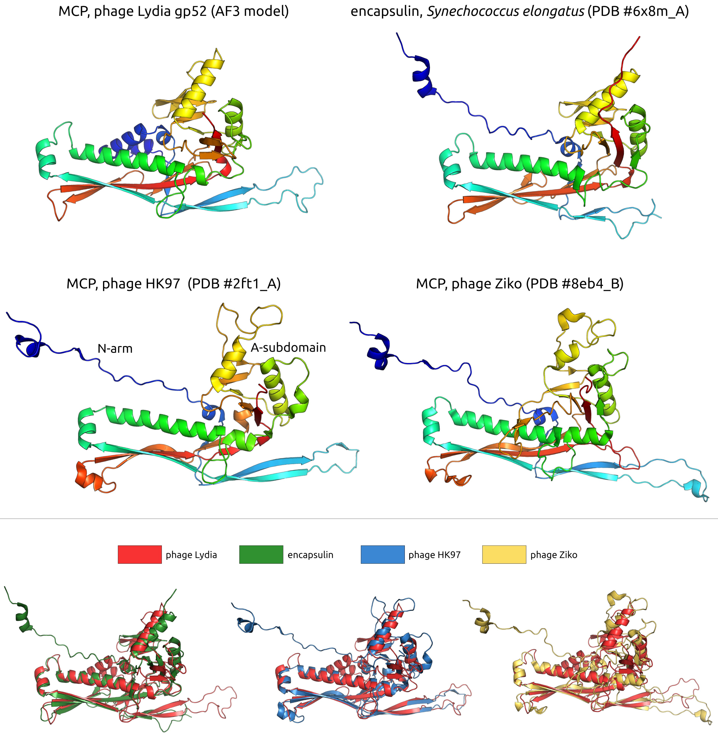 Viruses 17 00369 g005 Viruses 17 00369 g005