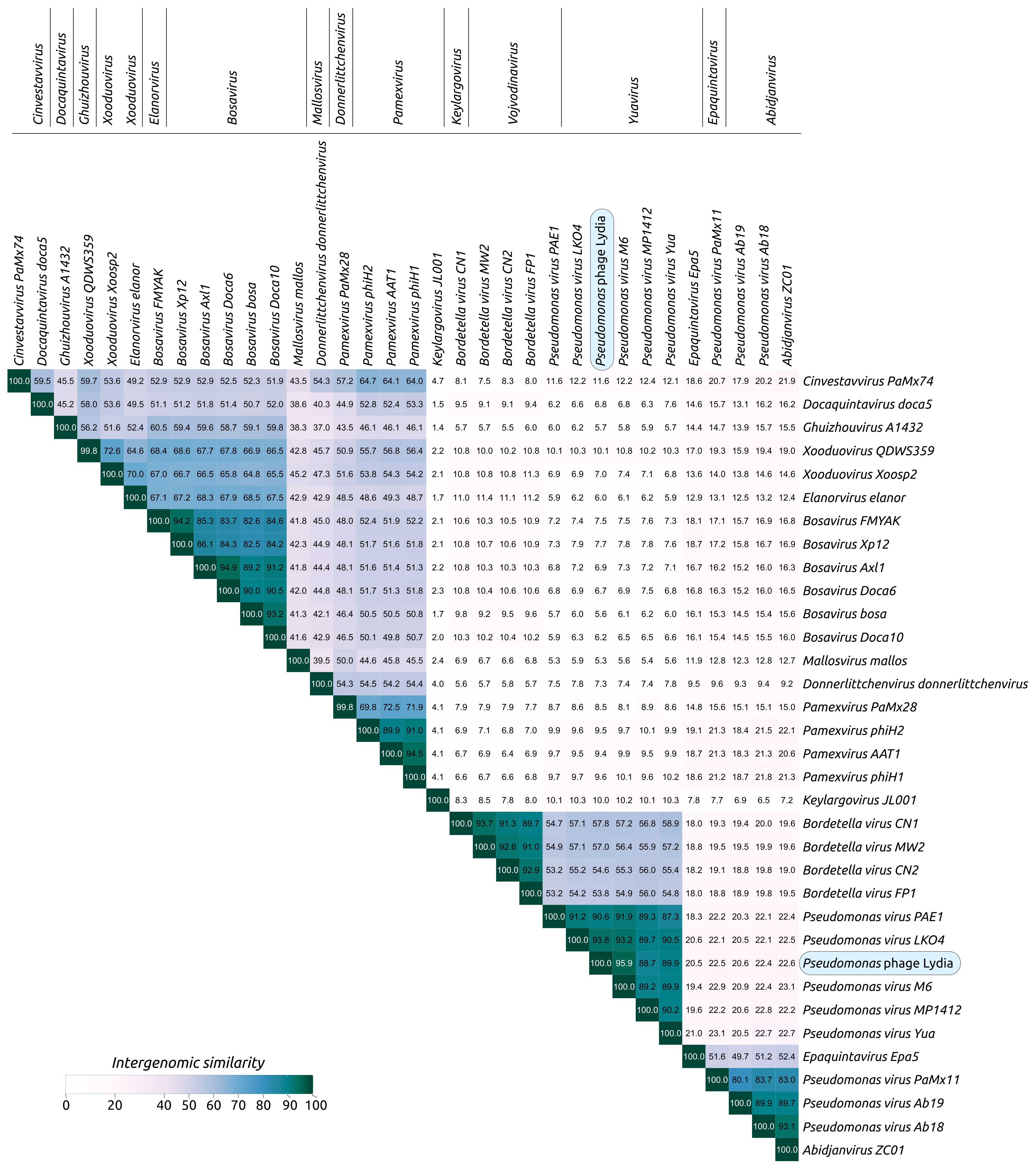 Viruses 17 00369 g007 Viruses 17 00369 g007