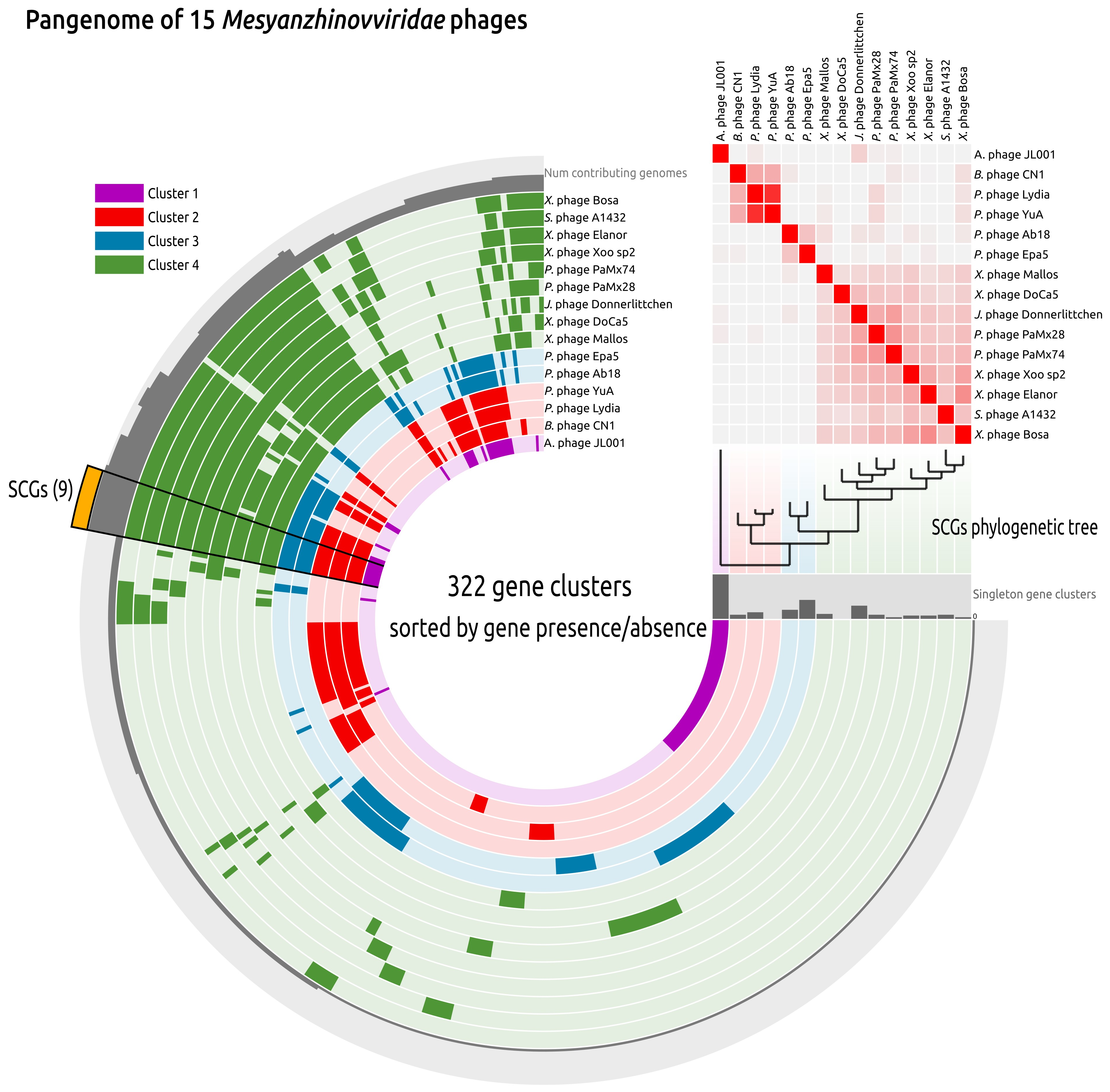 Viruses 17 00369 g010 Viruses 17 00369 g010