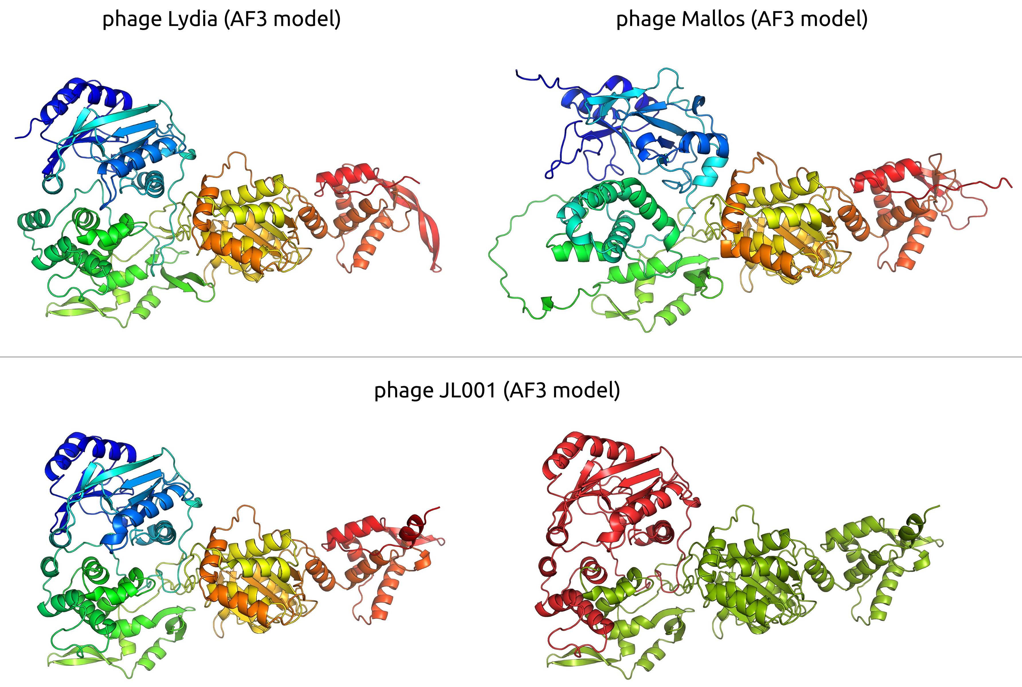 Viruses 17 00369 g011 Viruses 17 00369 g011