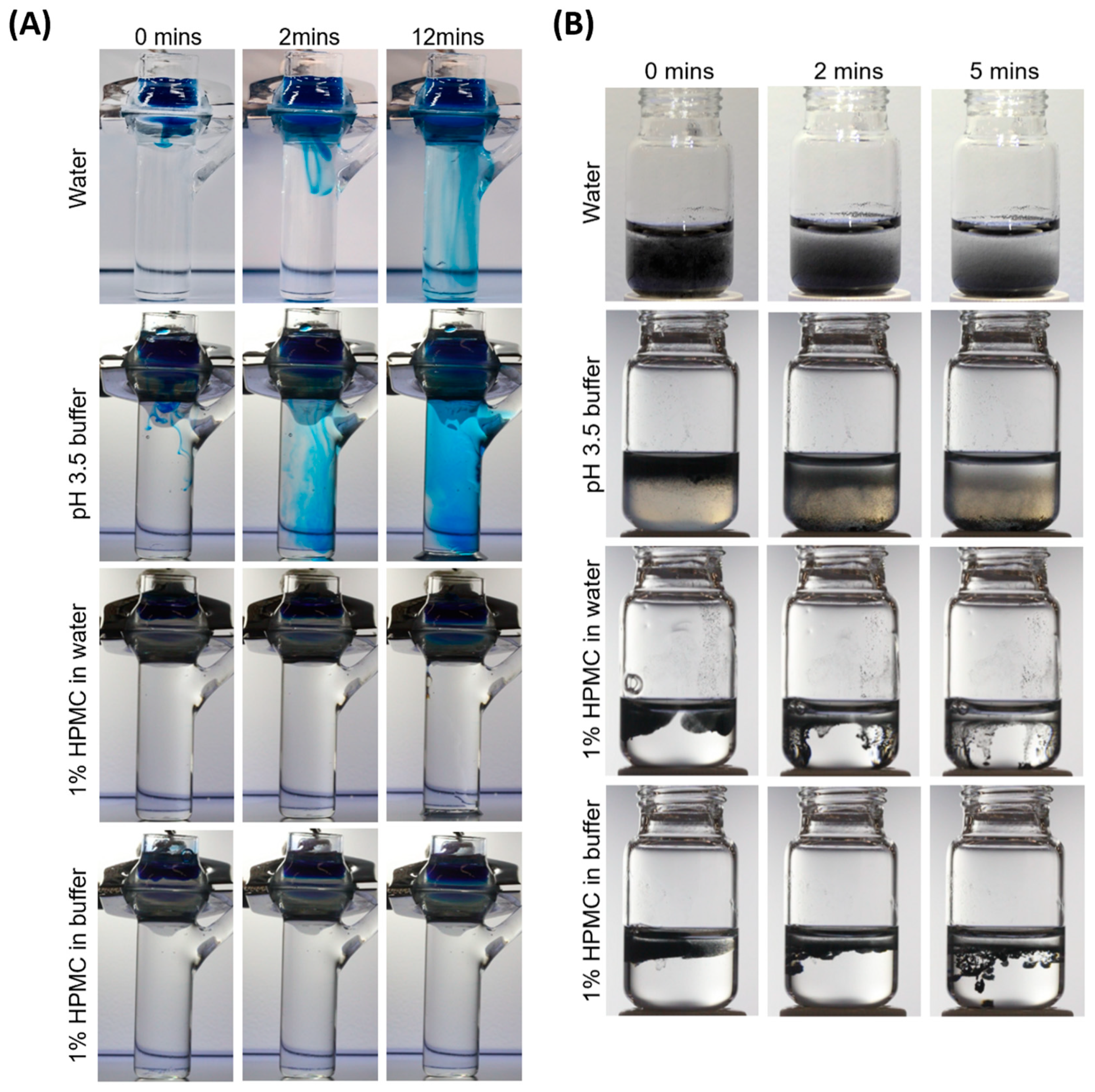 Viruses 17 00376 g001 Viruses 17 00376 g001