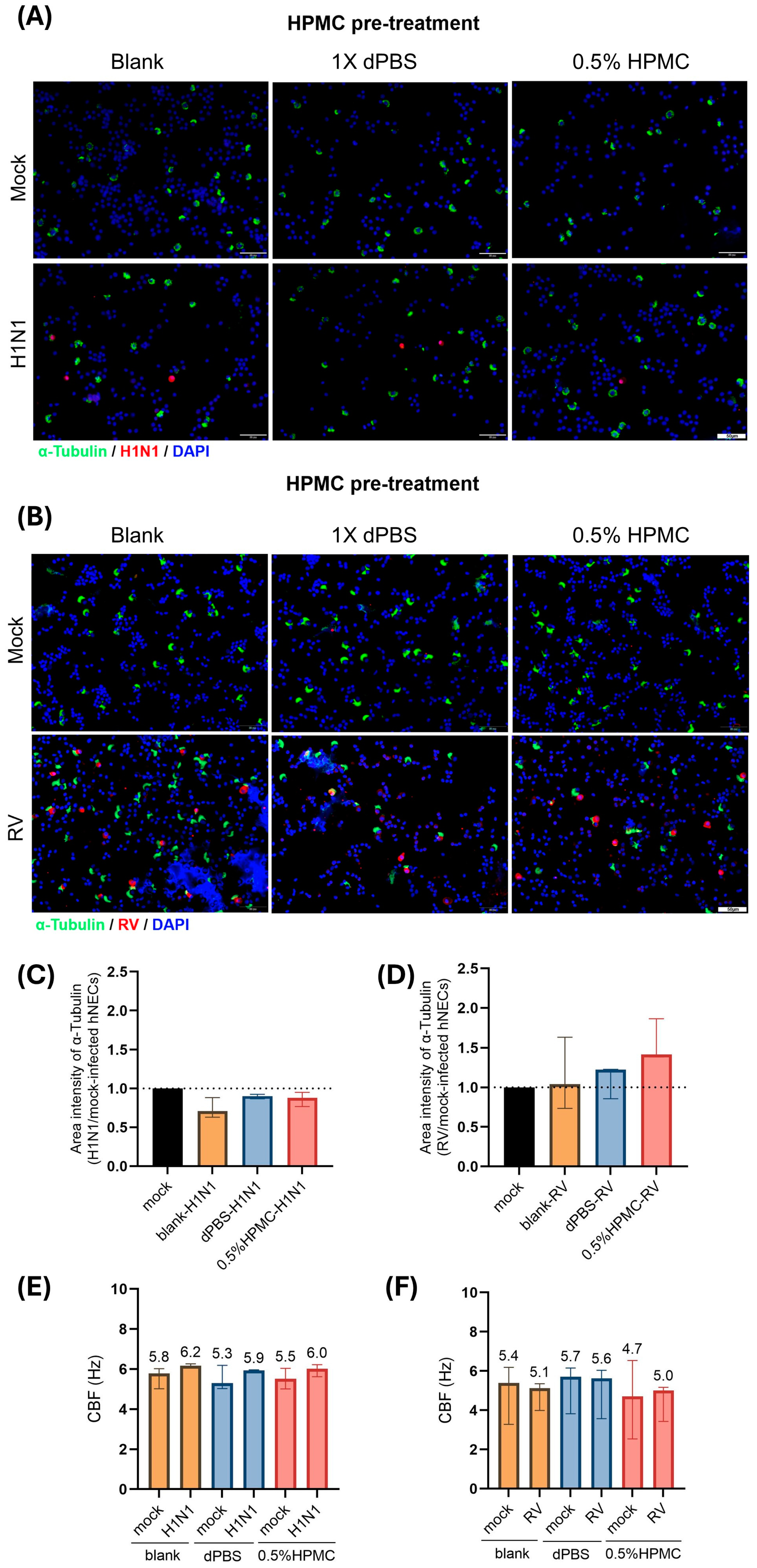 Viruses 17 00376 g003 Viruses 17 00376 g003