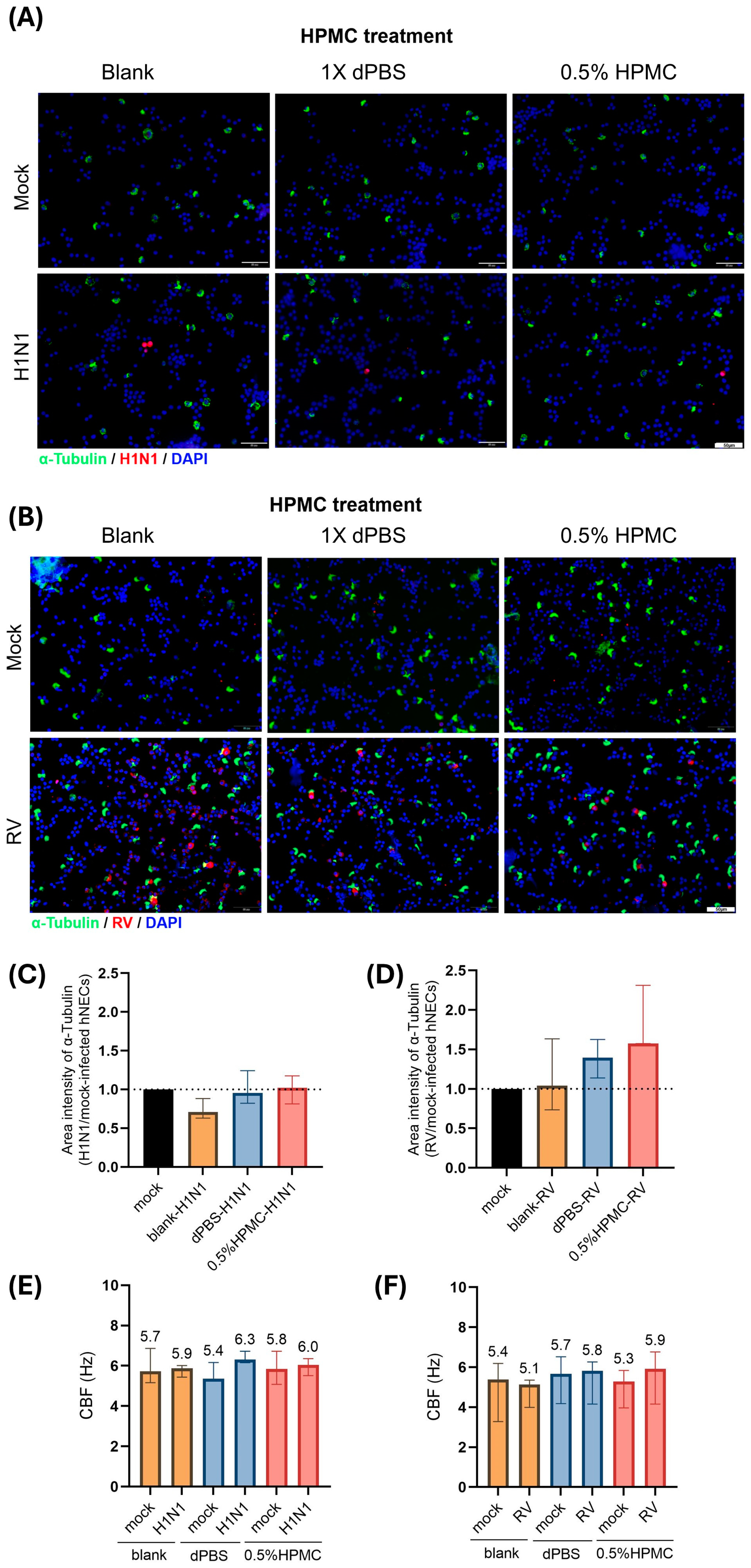 Viruses 17 00376 g005 Viruses 17 00376 g005