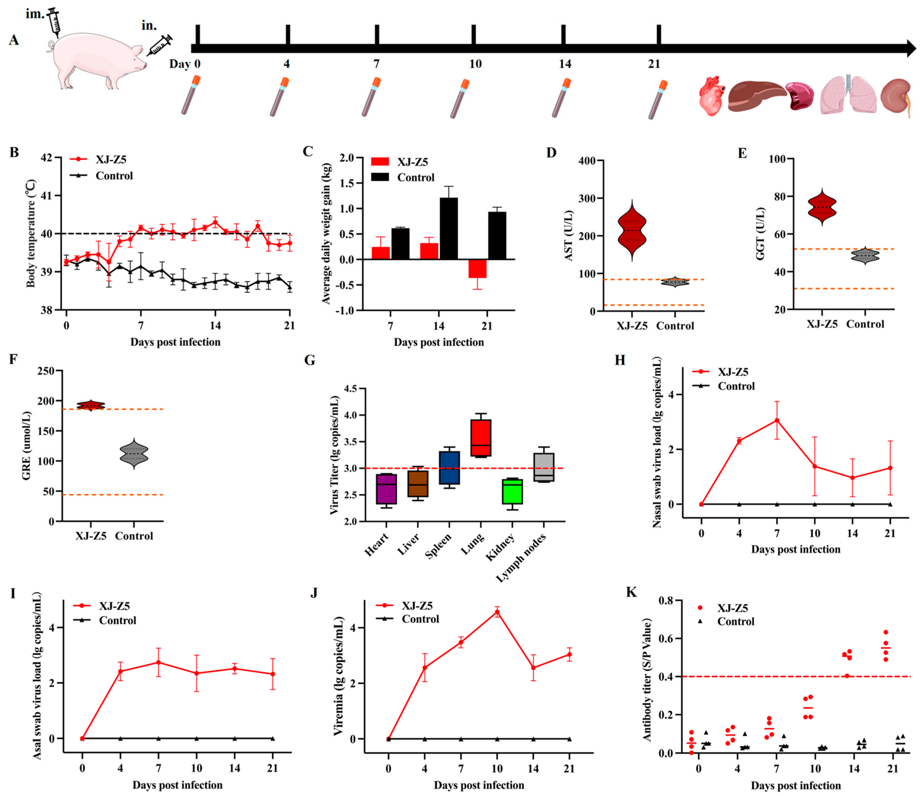 Viruses 17 00379 g004