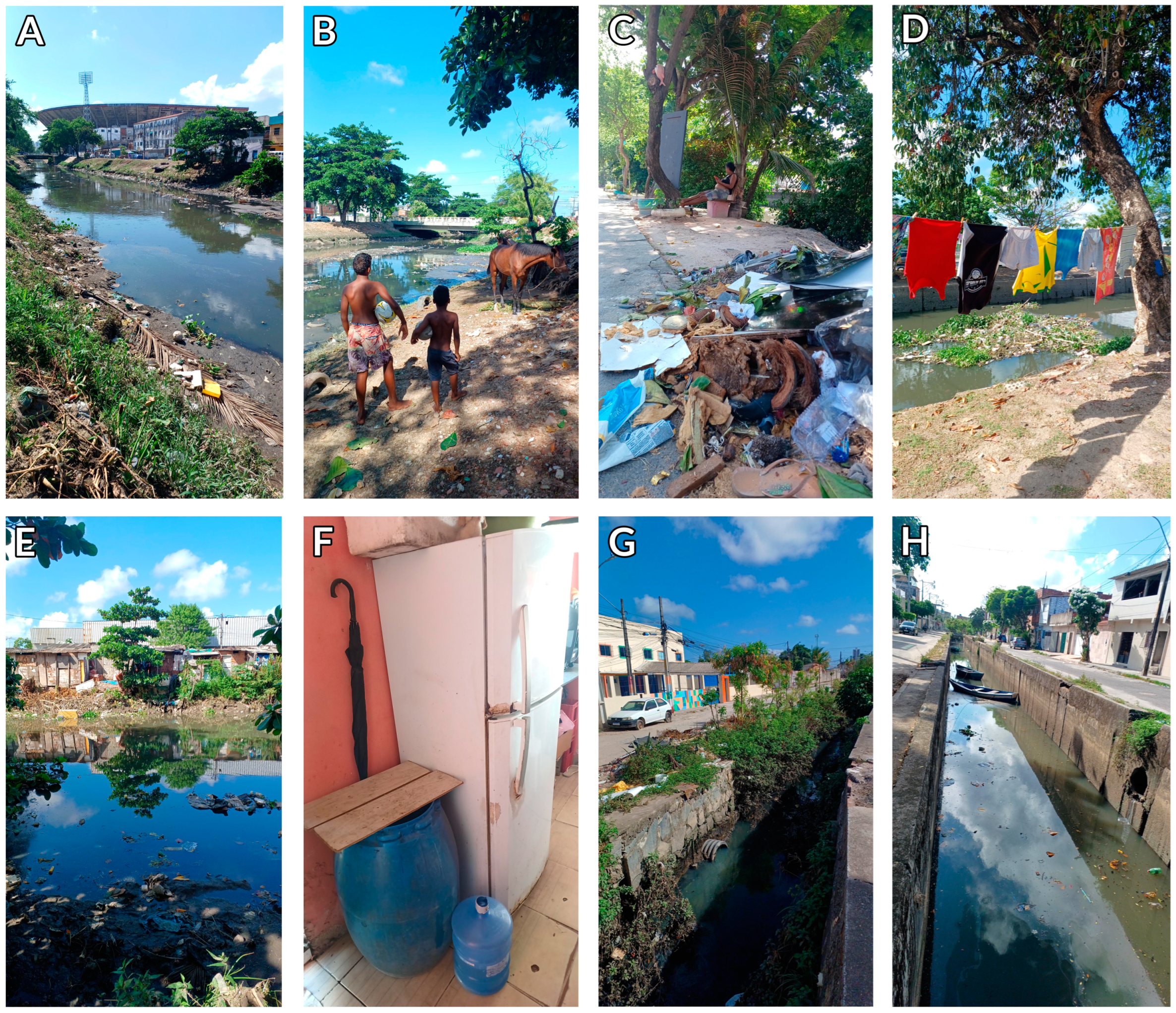 Viruses 17 00382 g005 Viruses 17 00382 g005