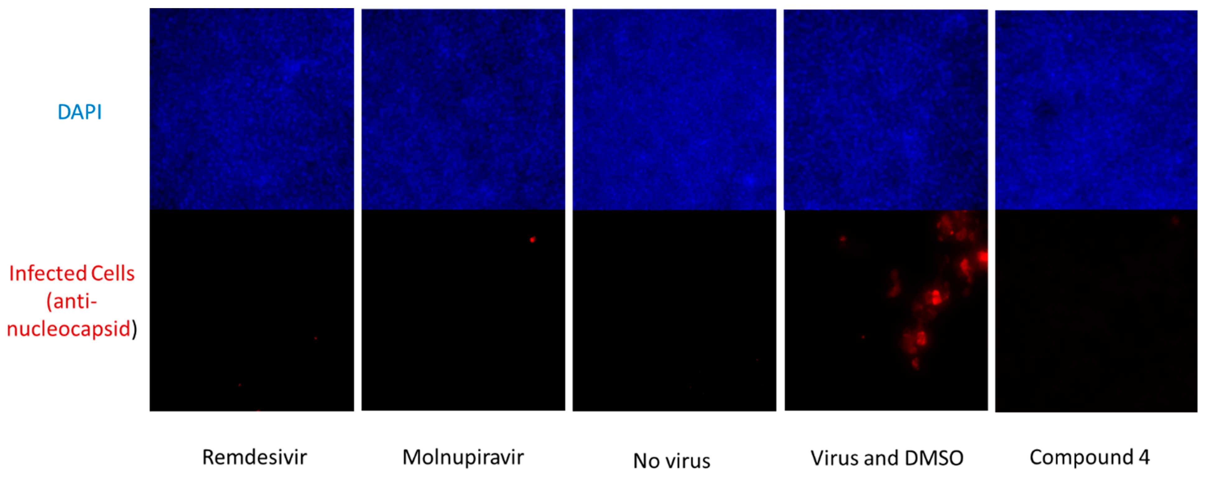 Viruses 17 00385 g006