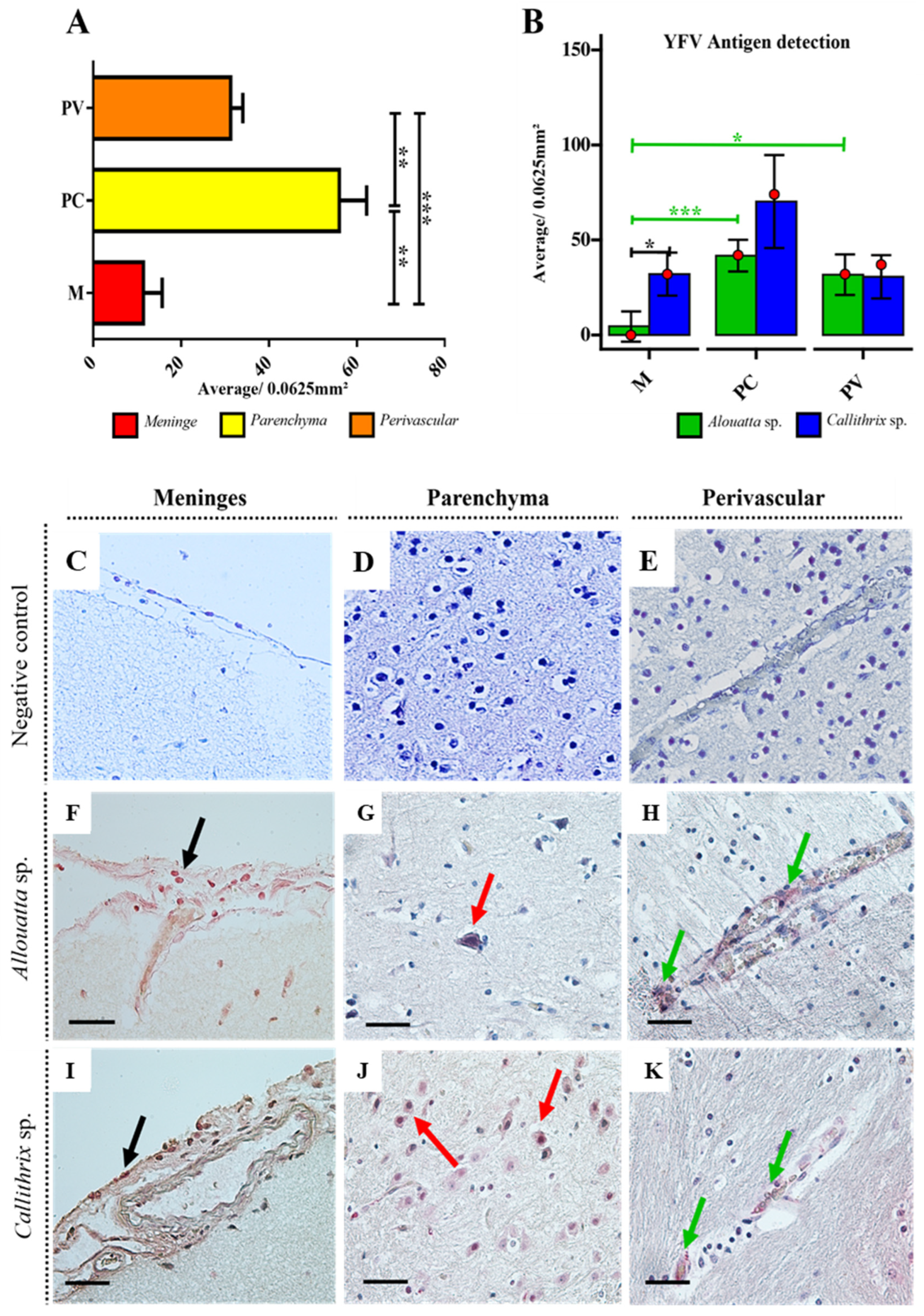 Viruses 17 00386 g003
