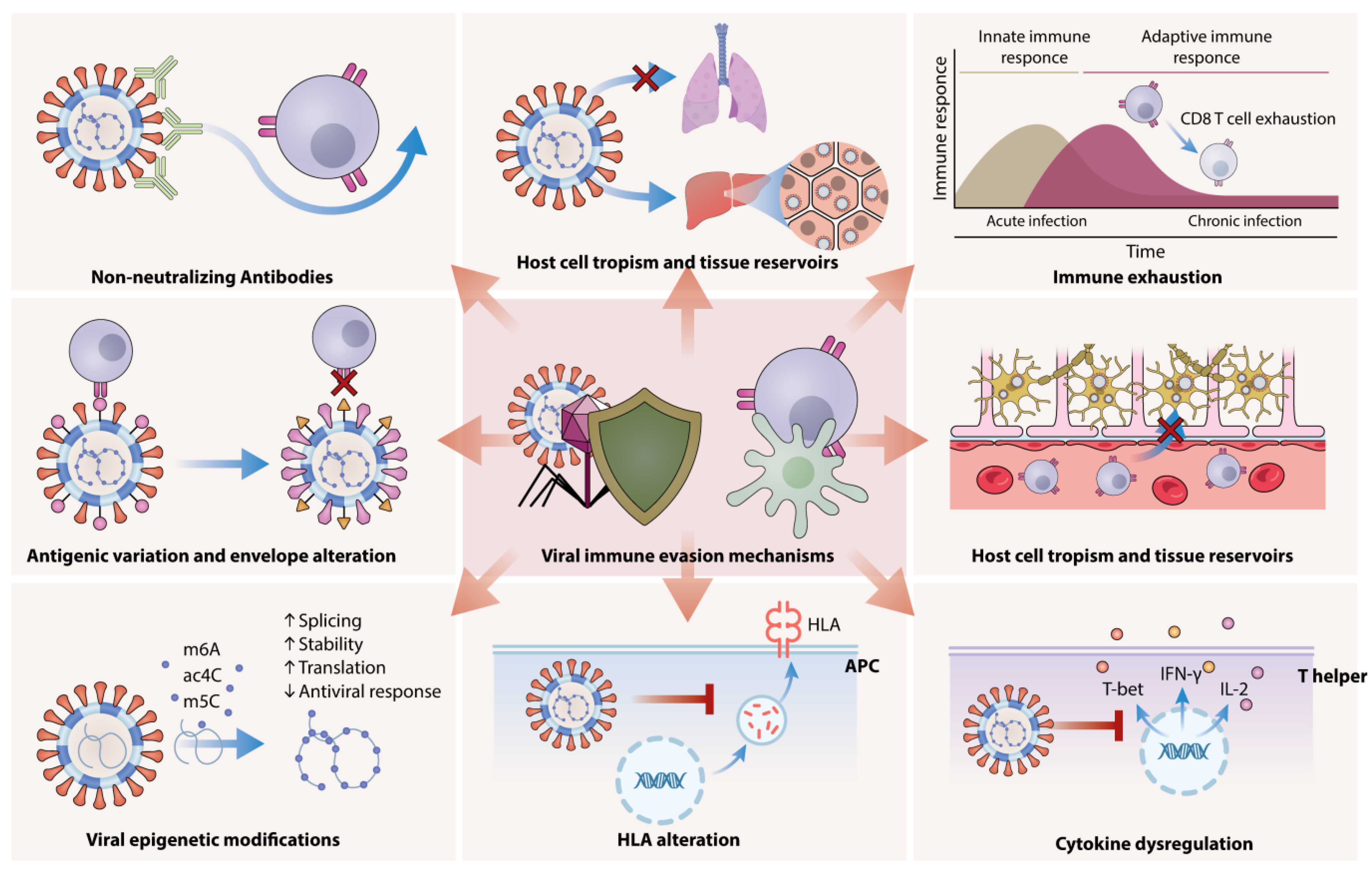 Viruses 17 00390 g002 Viruses 17 00390 g002