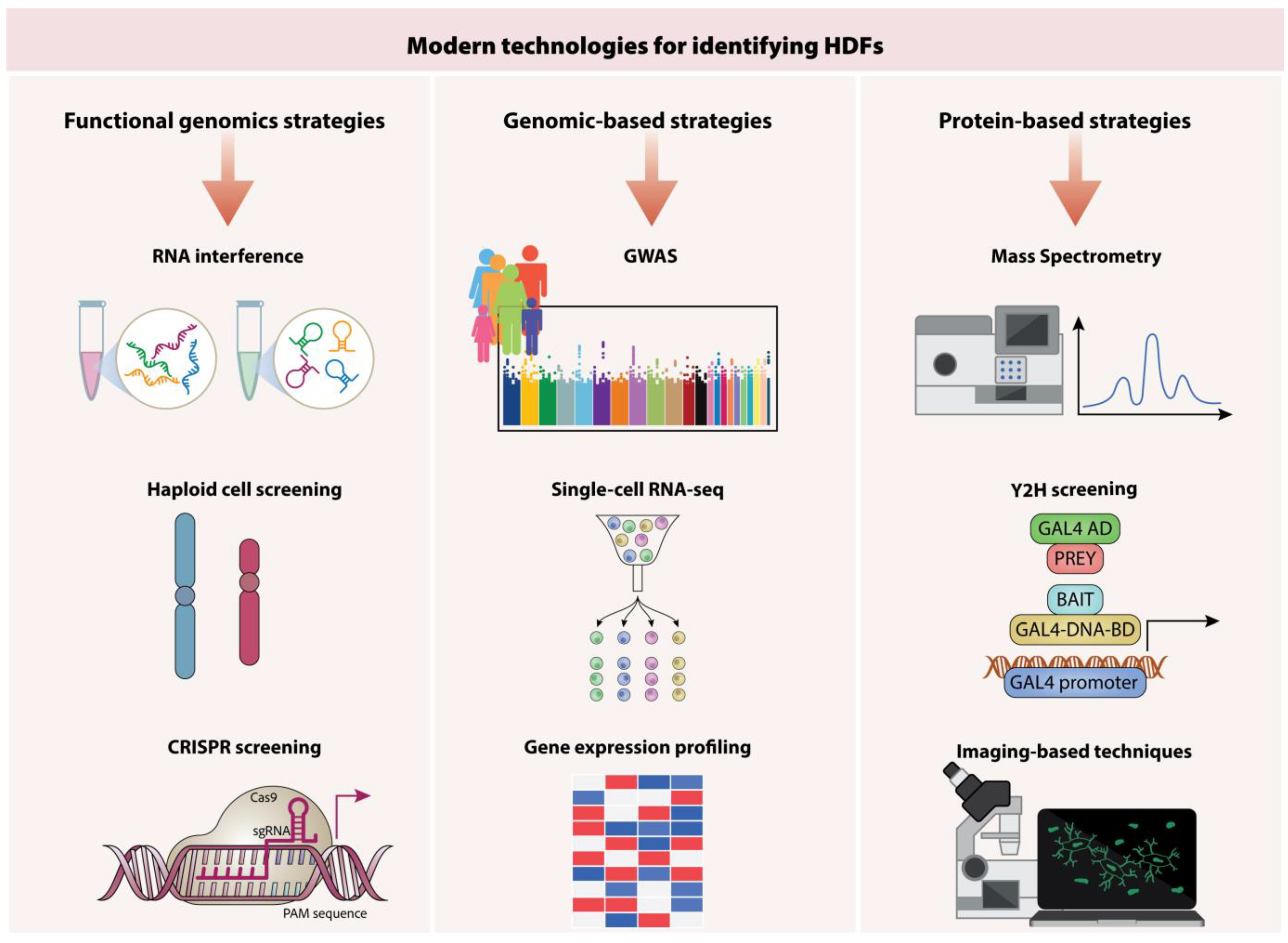 Viruses 17 00390 g003 Viruses 17 00390 g003