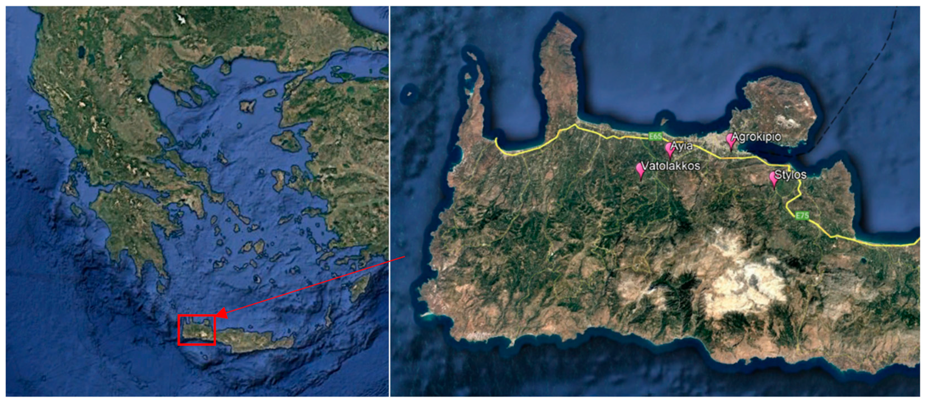 Viruses 17 00395 g001