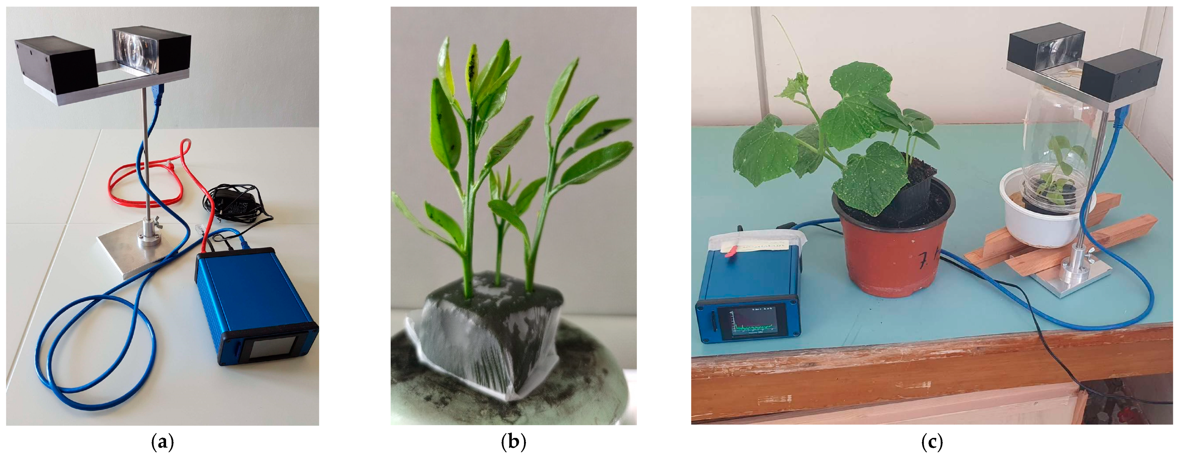Viruses 17 00395 g002