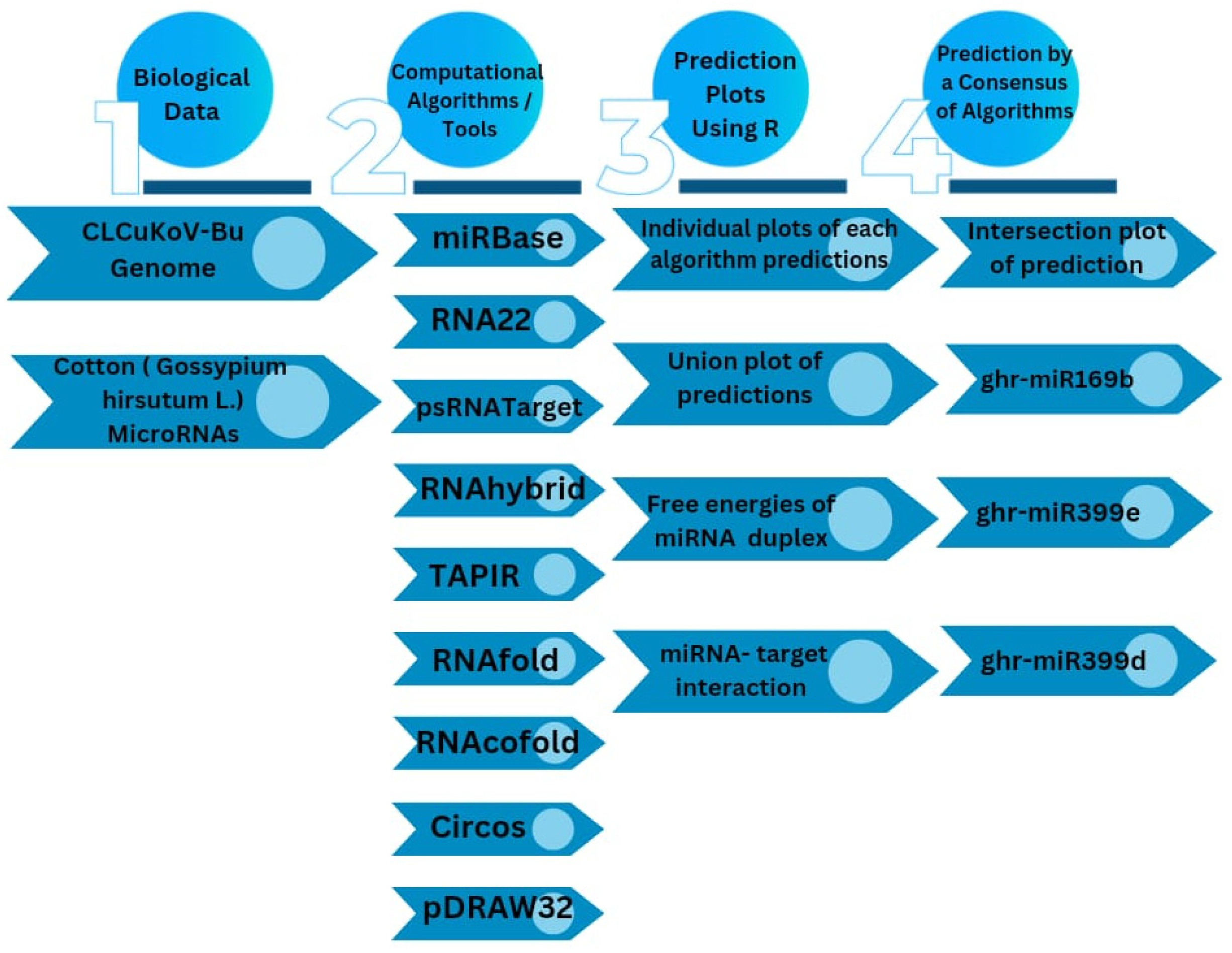 Viruses 17 00399 g002