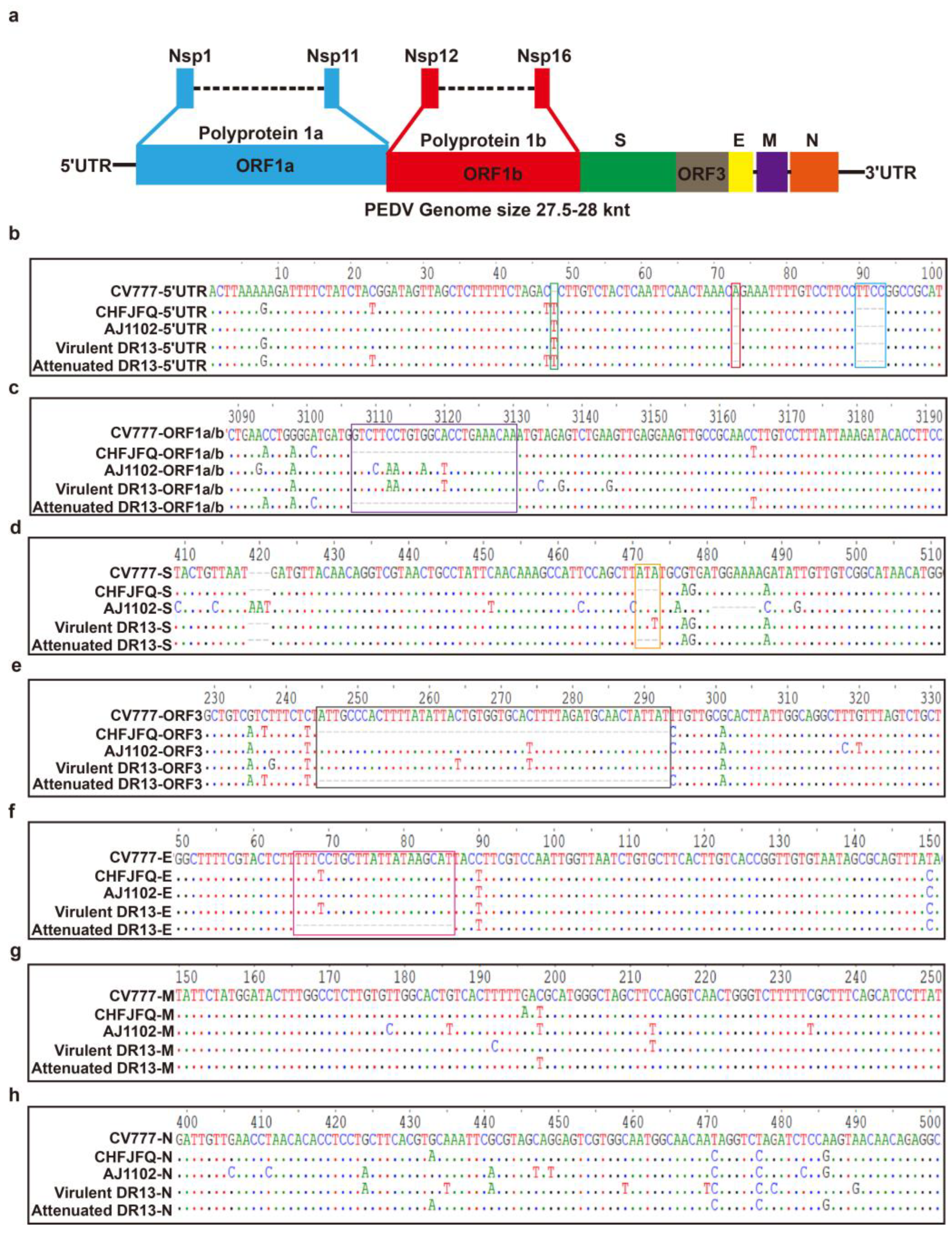Viruses 17 00401 g001