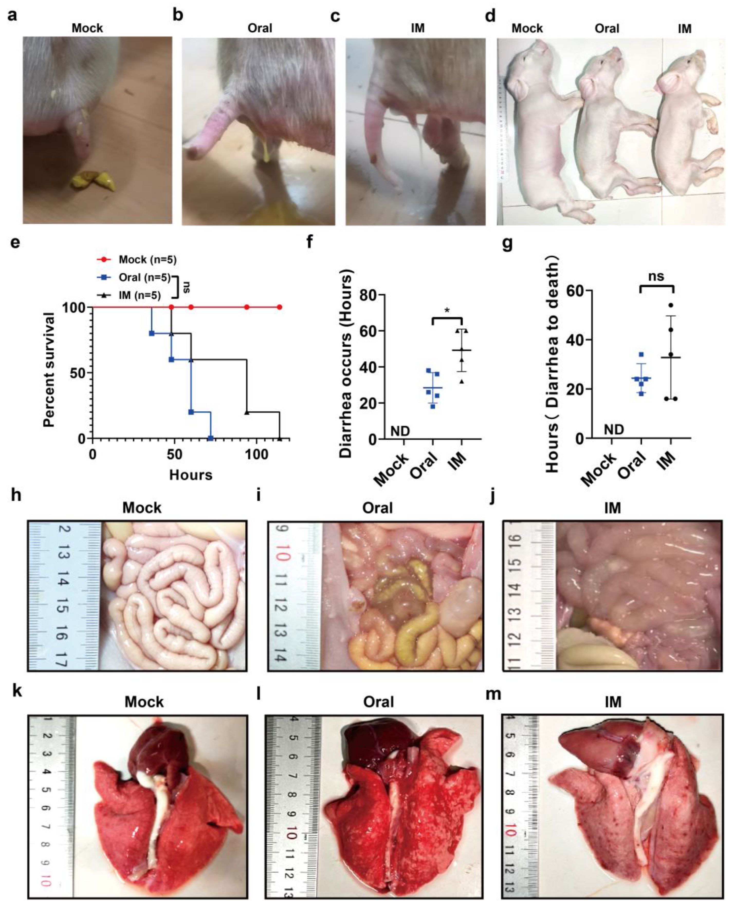 Viruses 17 00401 g005