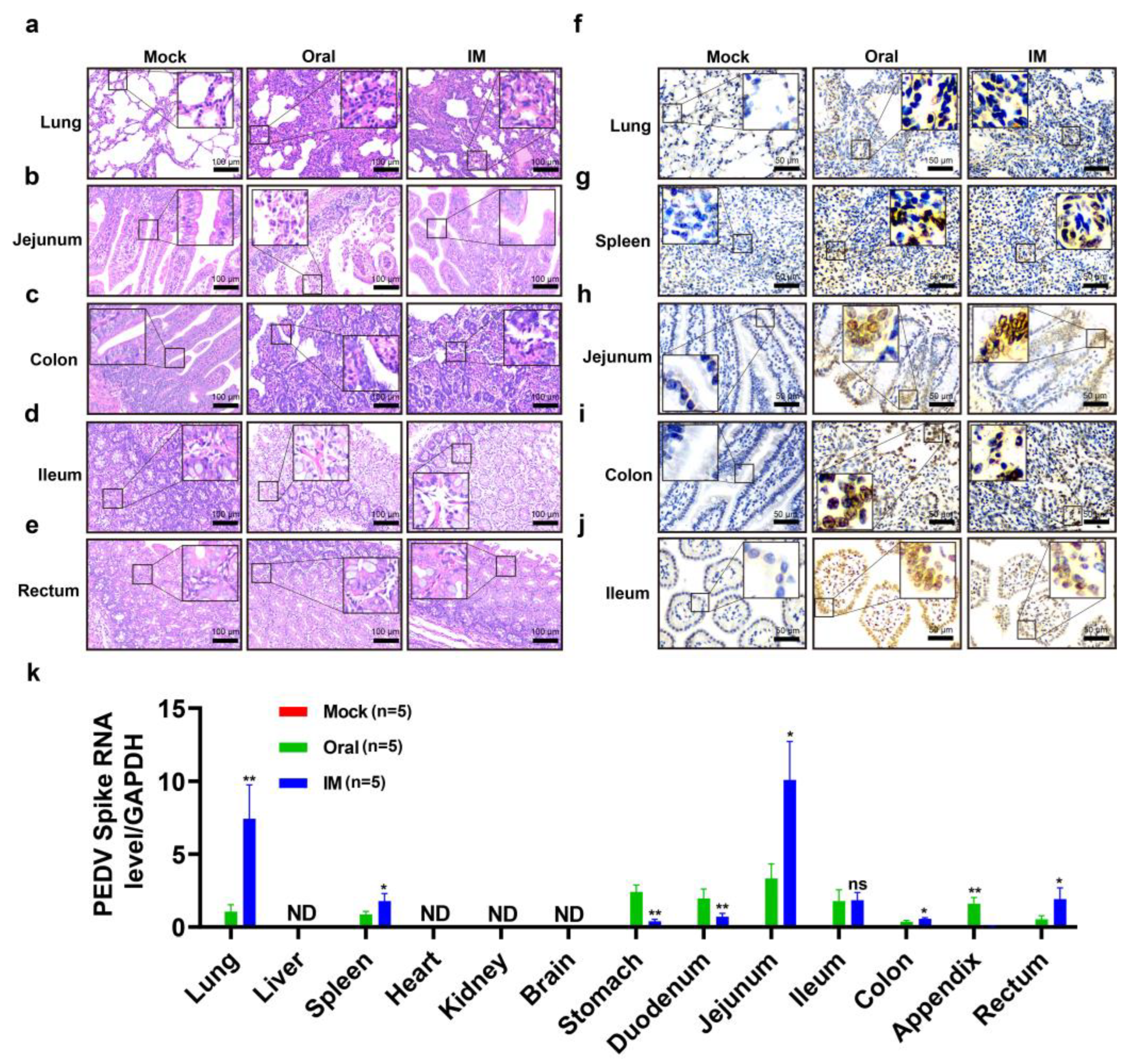 Viruses 17 00401 g006