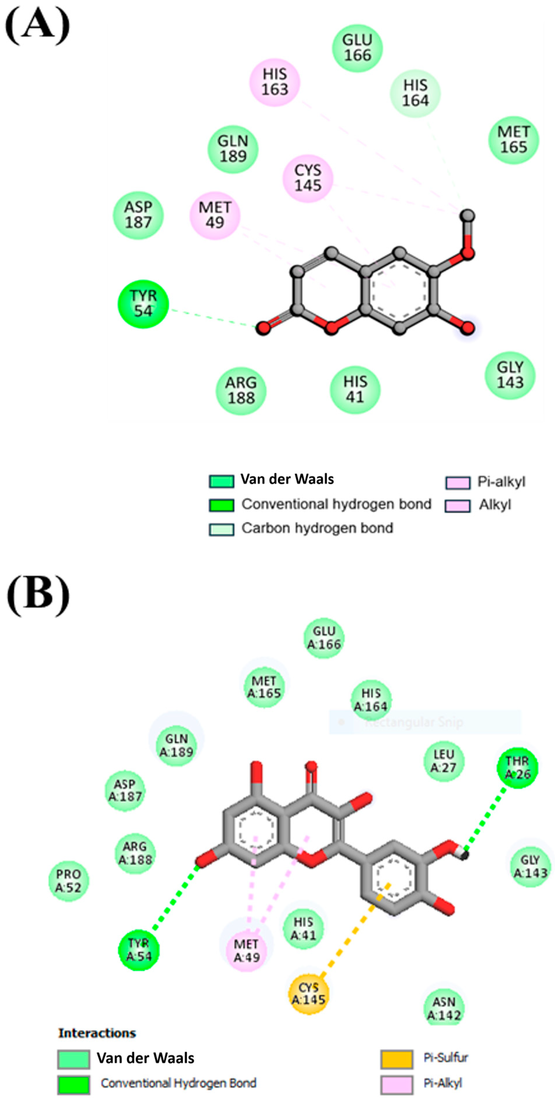 Viruses 17 00402 g002 Viruses 17 00402 g002