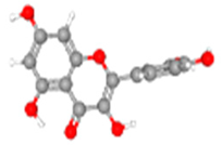 Viruses 17 00402 i002 Viruses 17 00402 i002