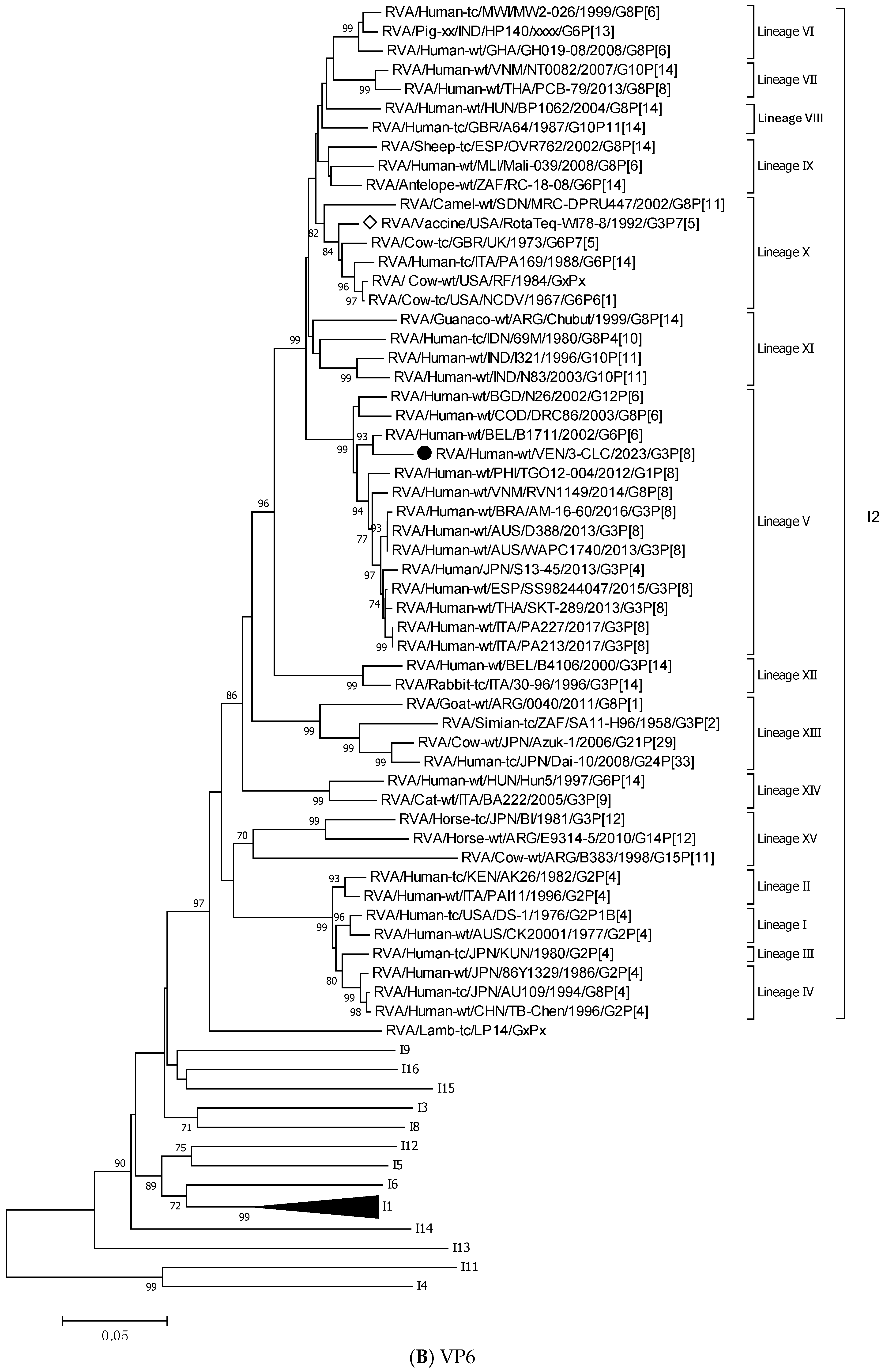 Viruses 17 00410 g003b Viruses 17 00410 g003b