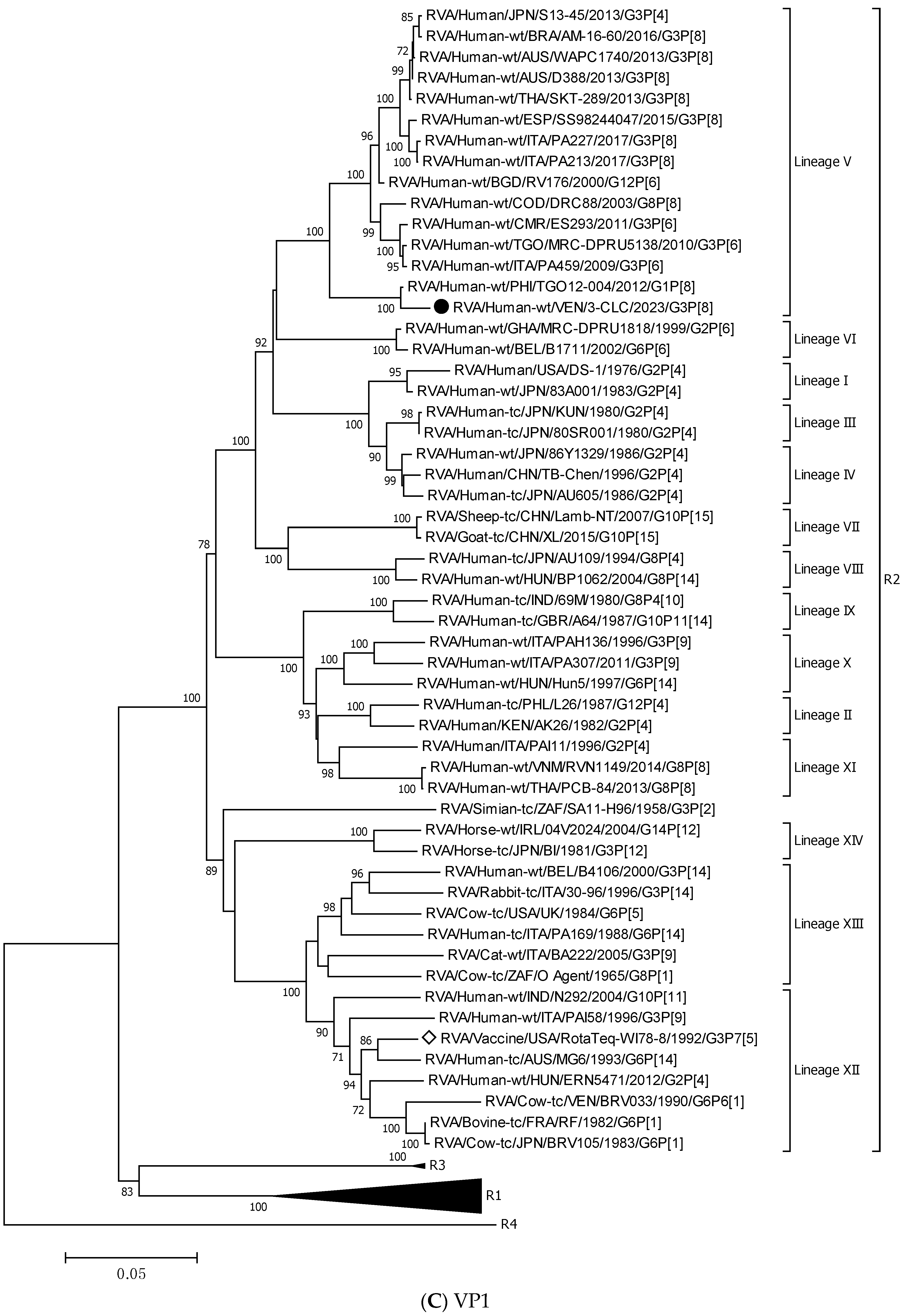 Viruses 17 00410 g003c Viruses 17 00410 g003c