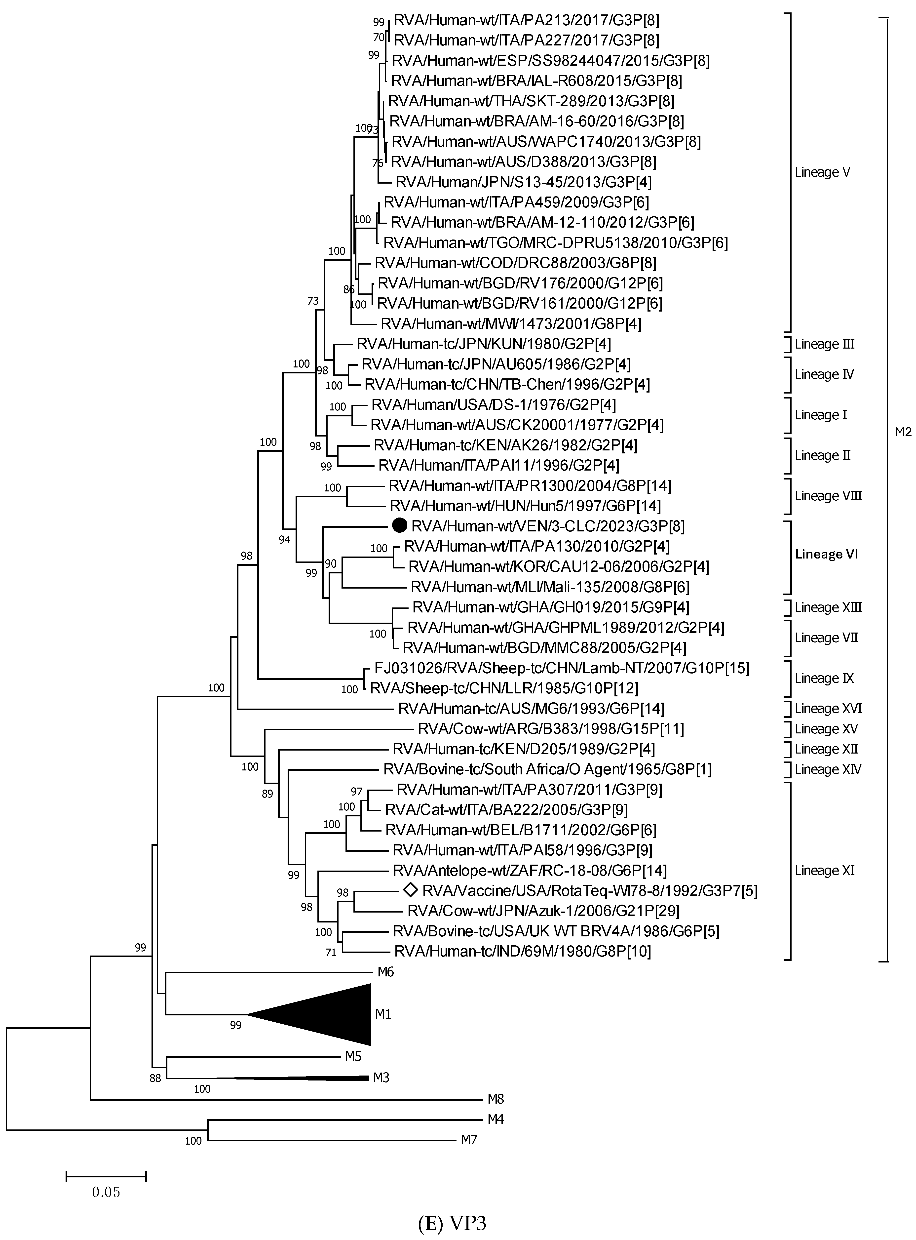 Viruses 17 00410 g003e Viruses 17 00410 g003e