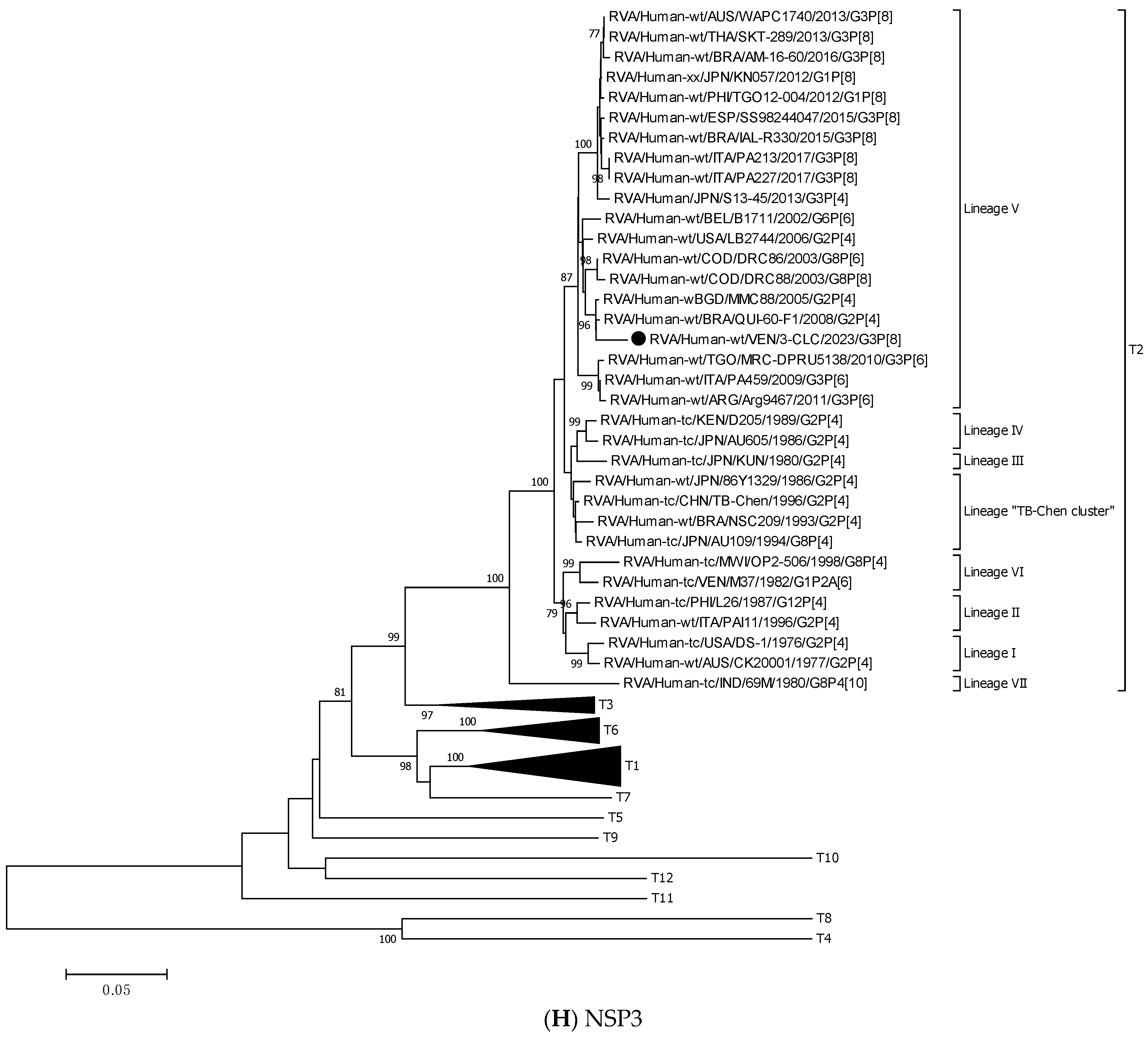 Viruses 17 00410 g003g Viruses 17 00410 g003g