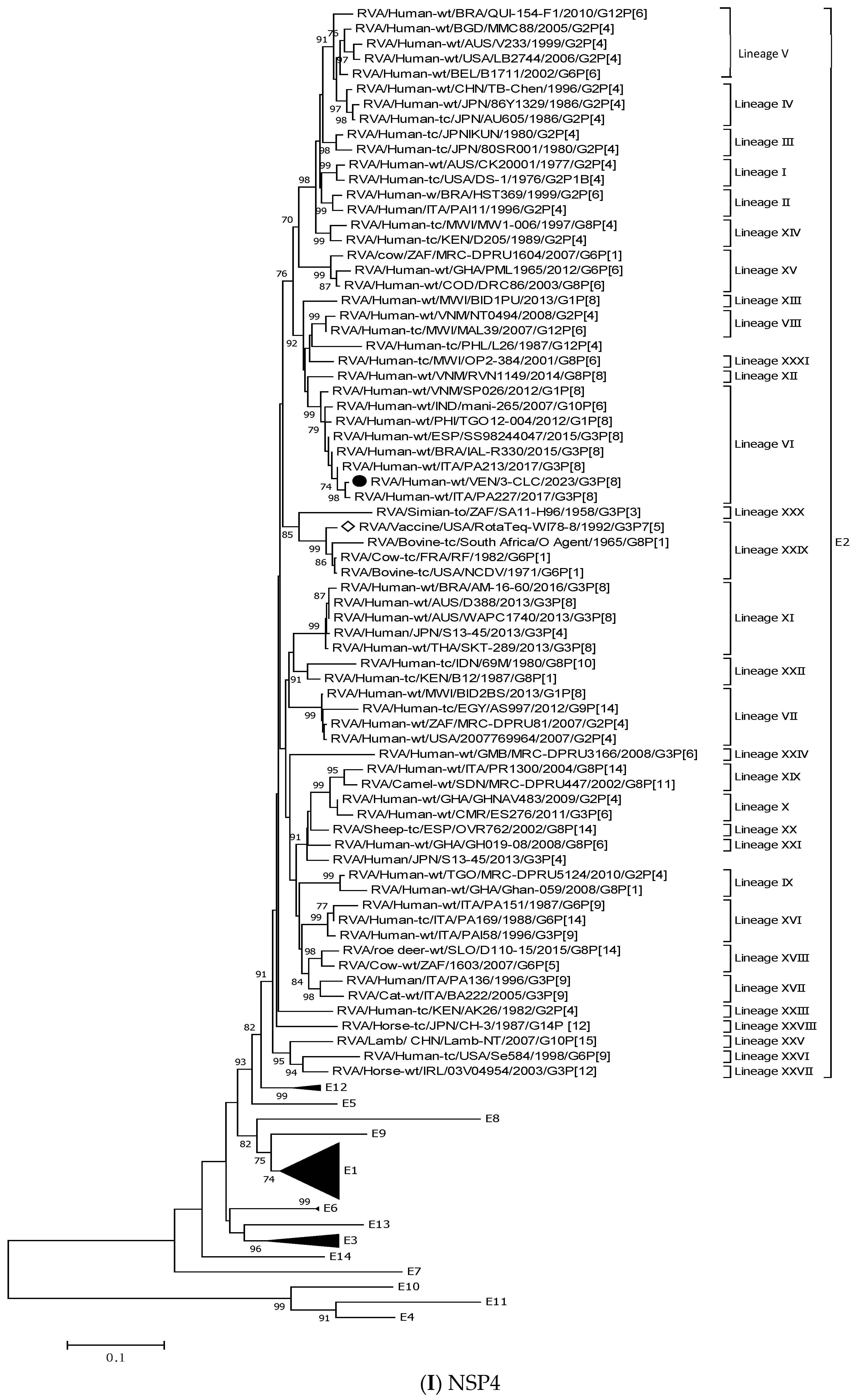 Viruses 17 00410 g003h Viruses 17 00410 g003h
