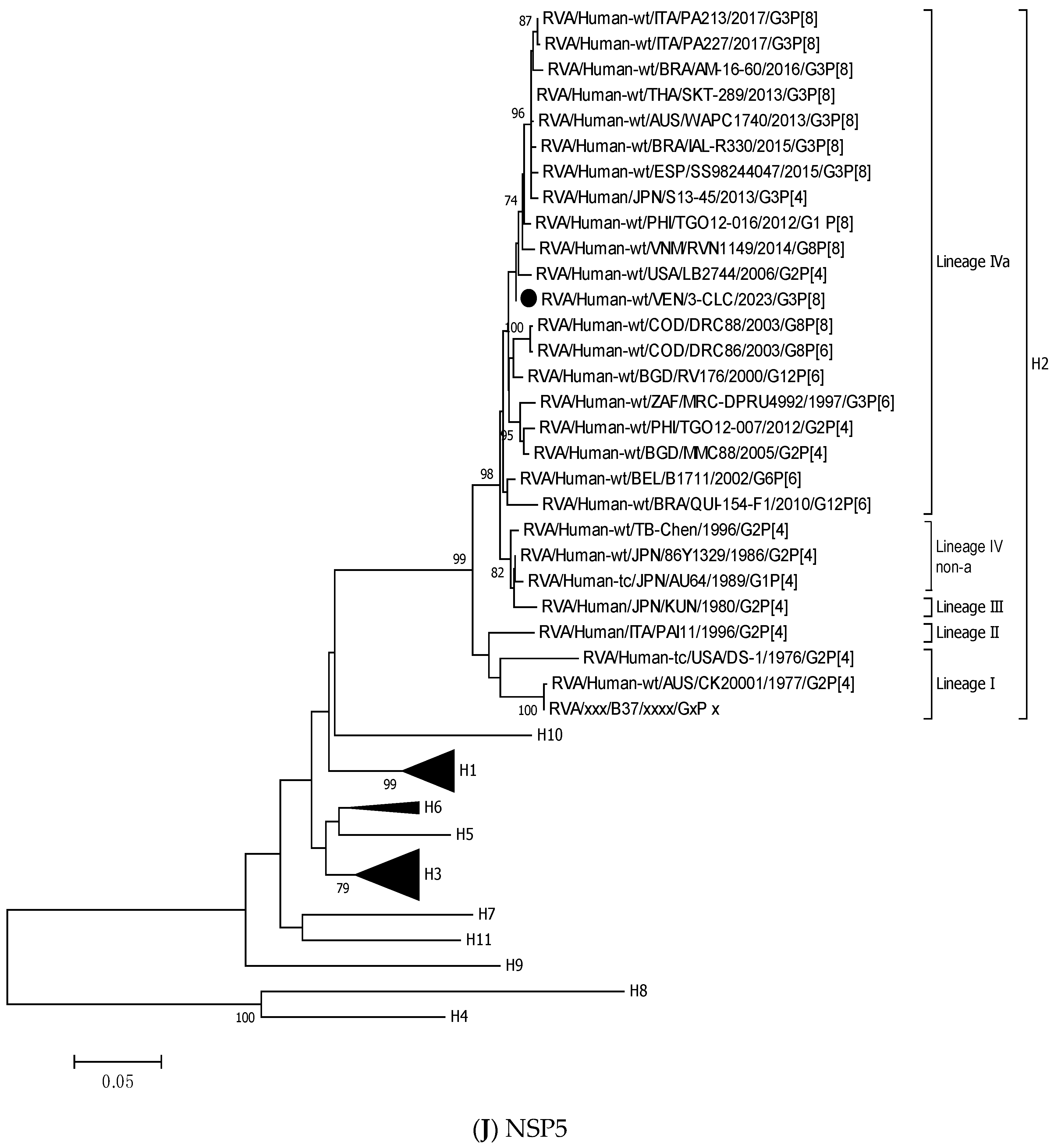 Viruses 17 00410 g003i Viruses 17 00410 g003i