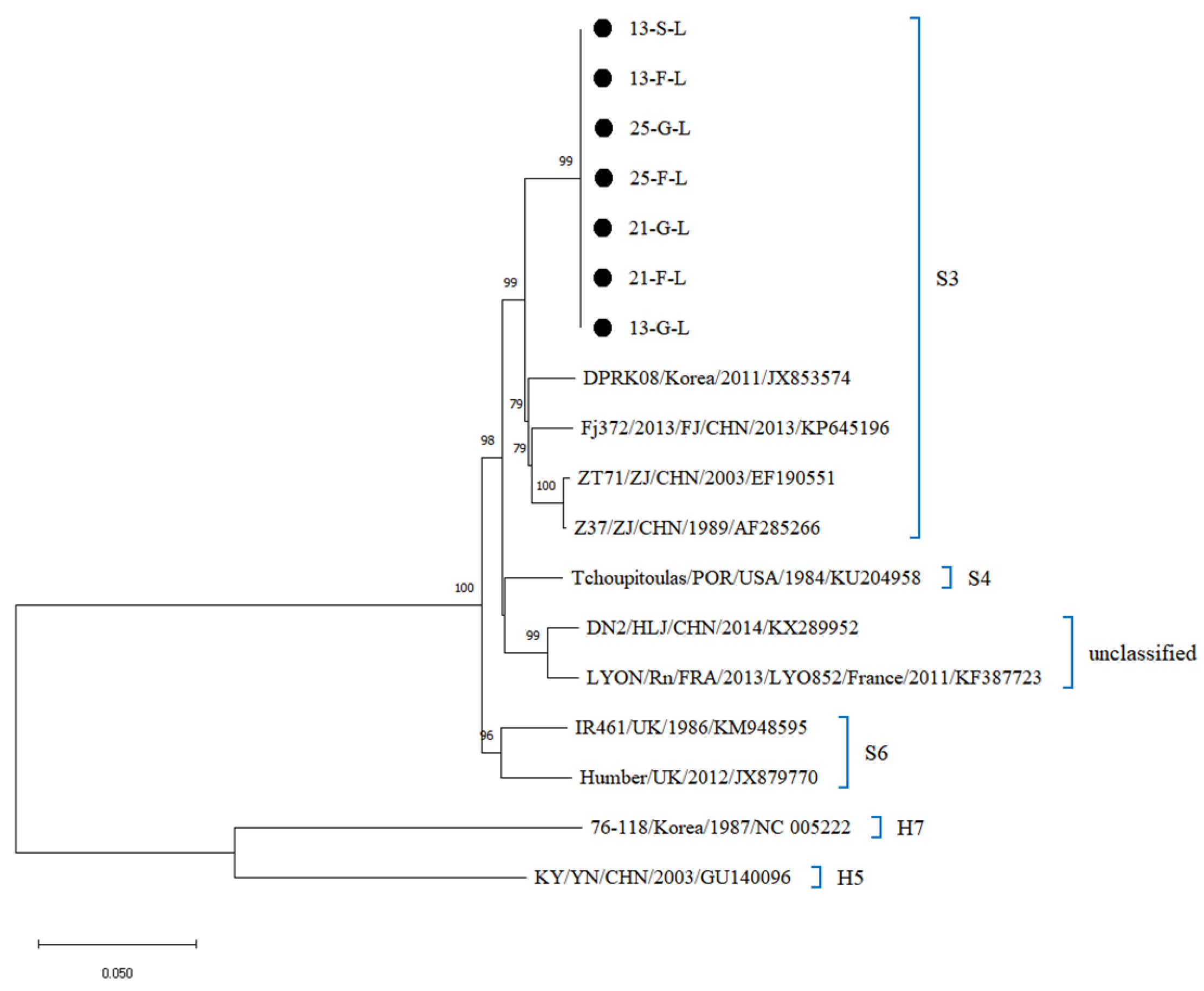 Viruses 17 00412 g004