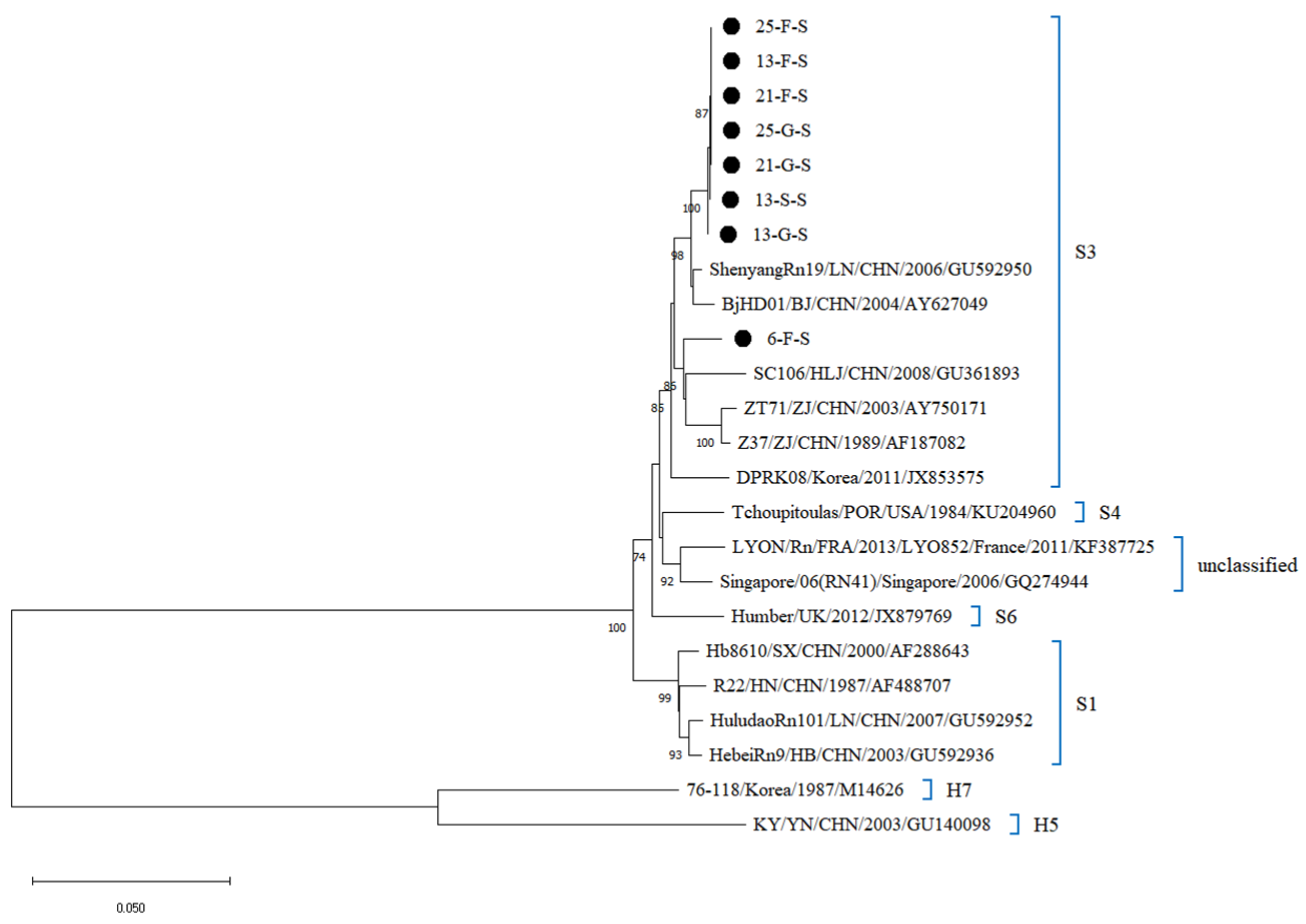 Viruses 17 00412 g006