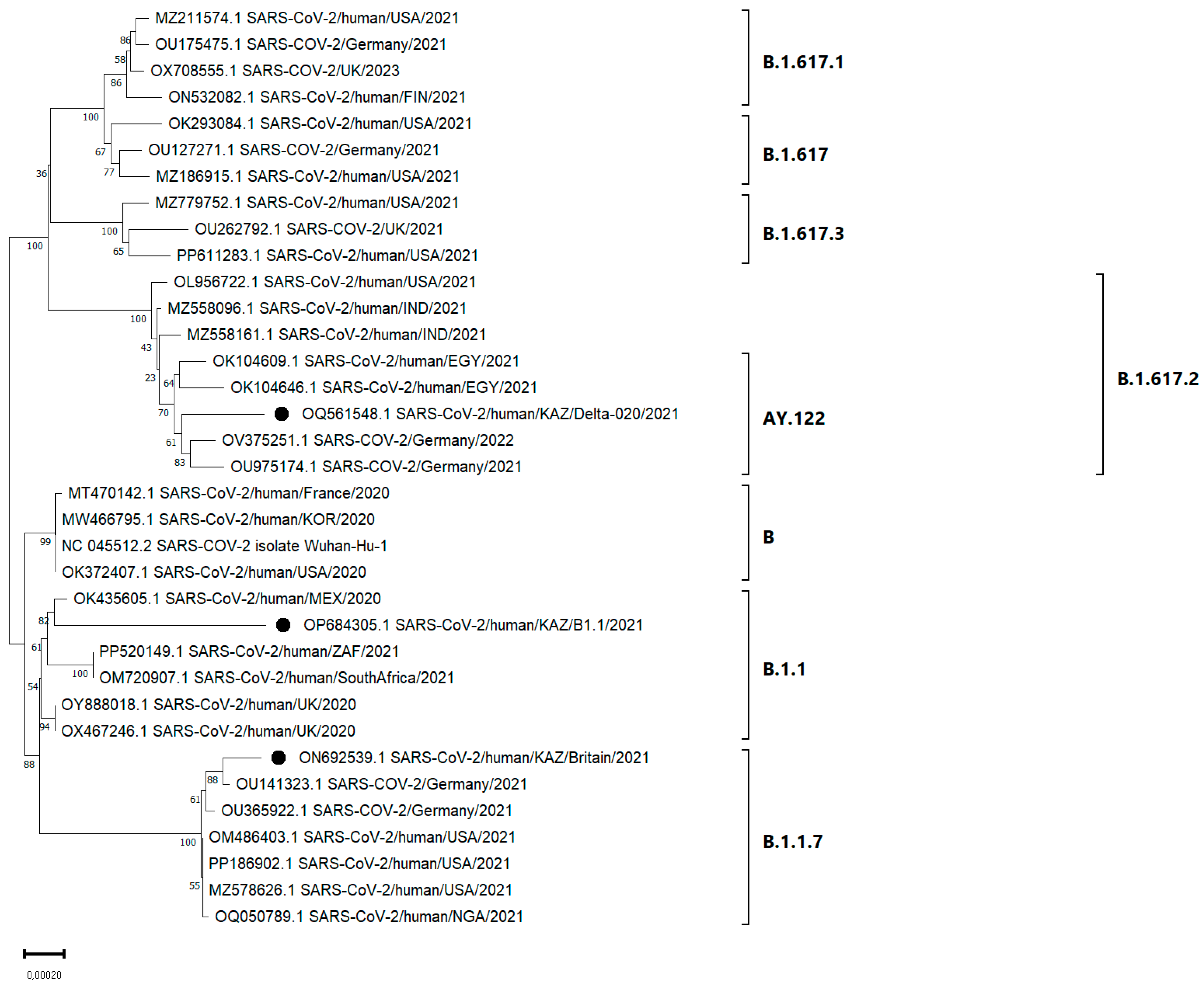 Viruses 17 00415 g005