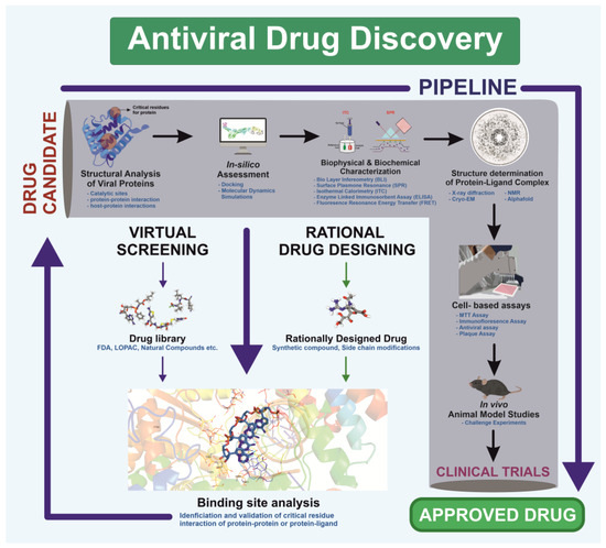 Structural Virology: The Key Determinants in Development of
