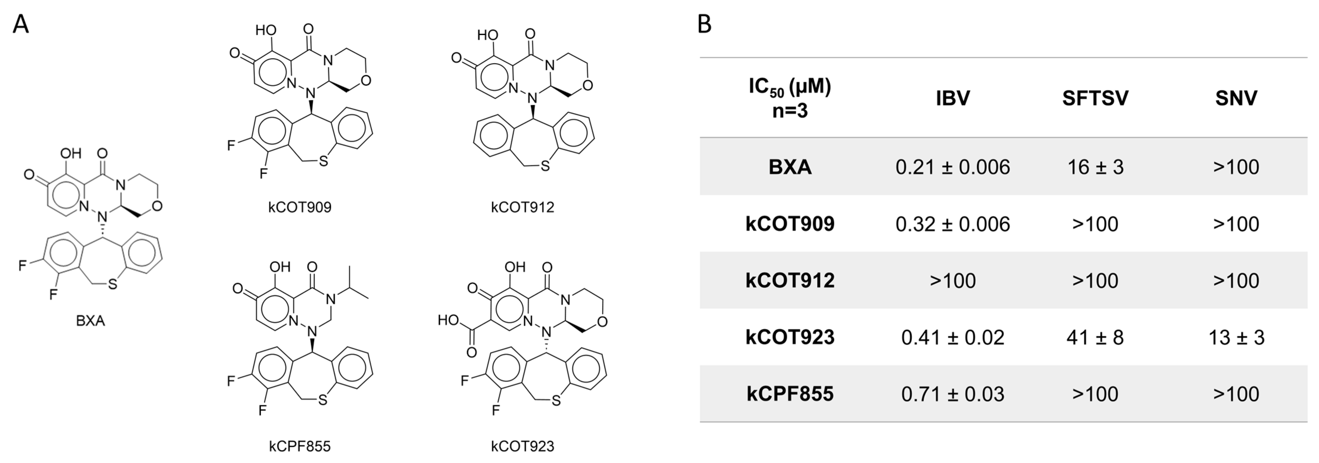Viruses 17 00420 g007