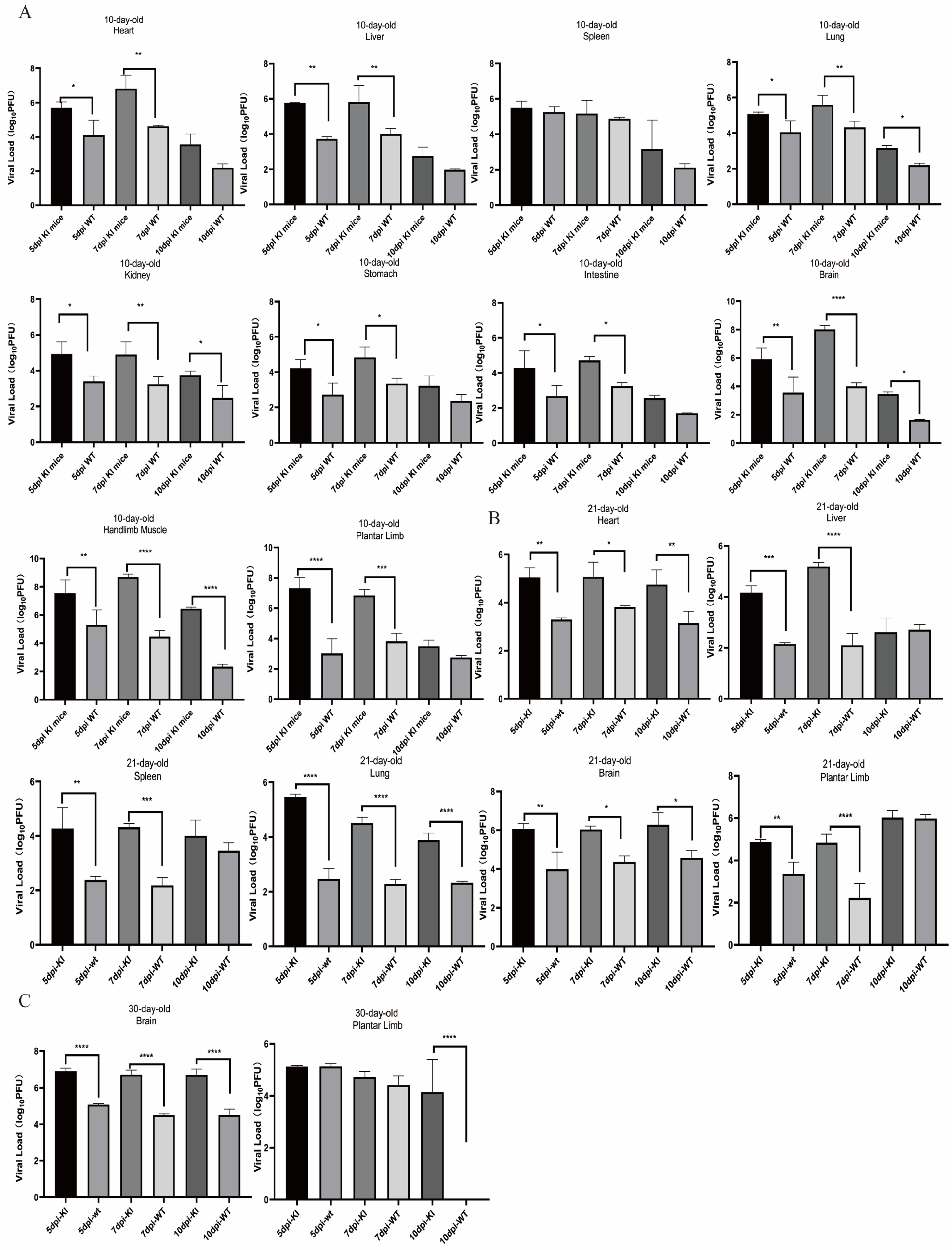 Viruses 17 00423 g004a