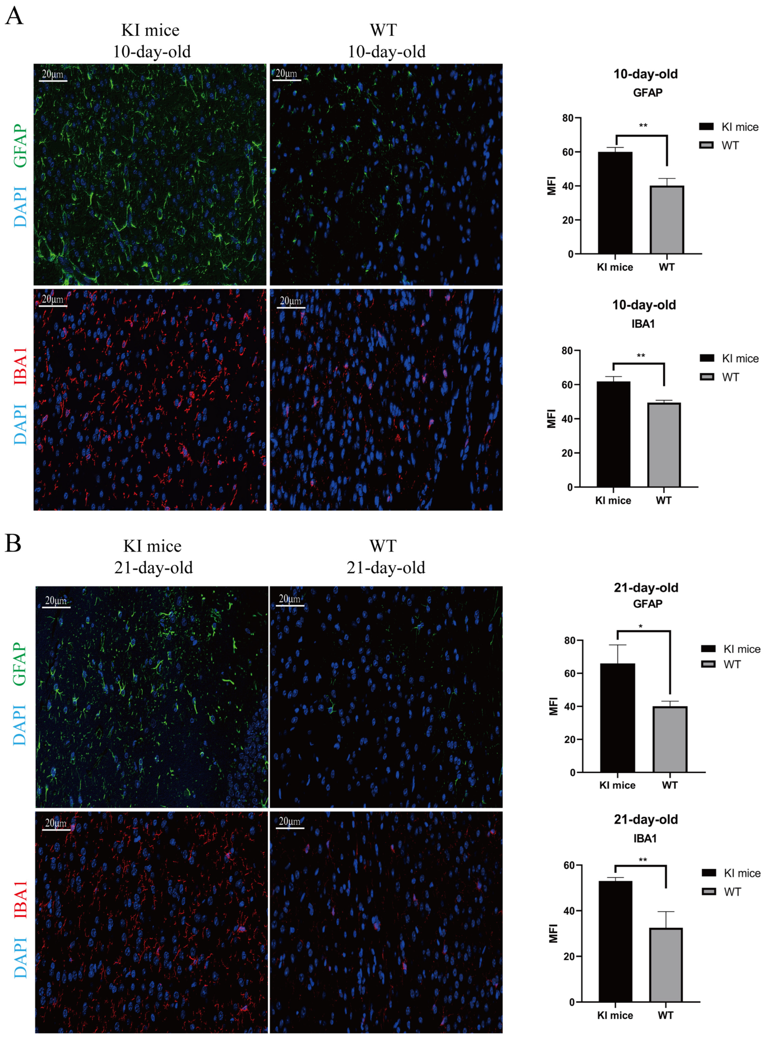 Viruses 17 00423 g006