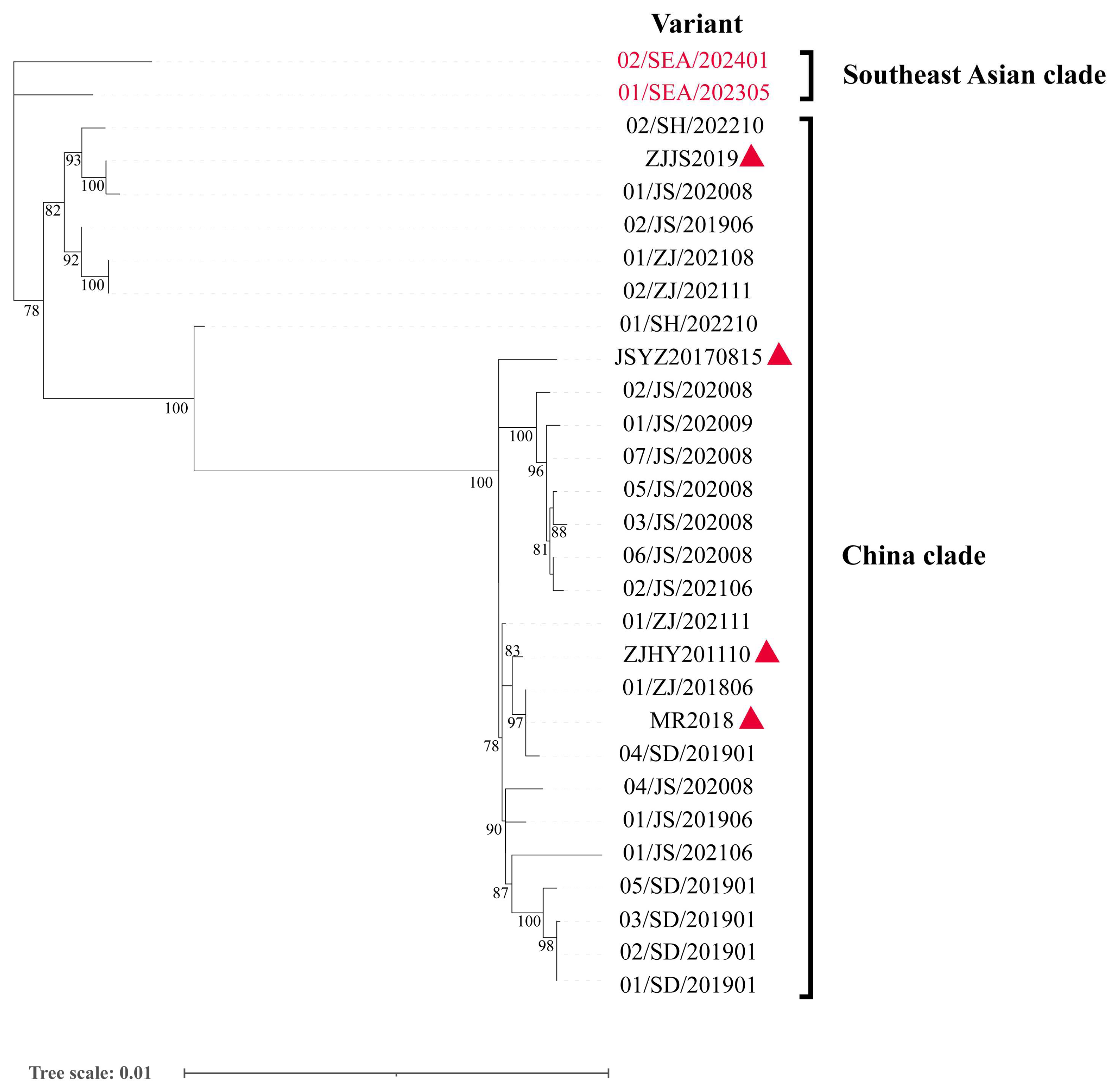 Viruses 17 00425 g001