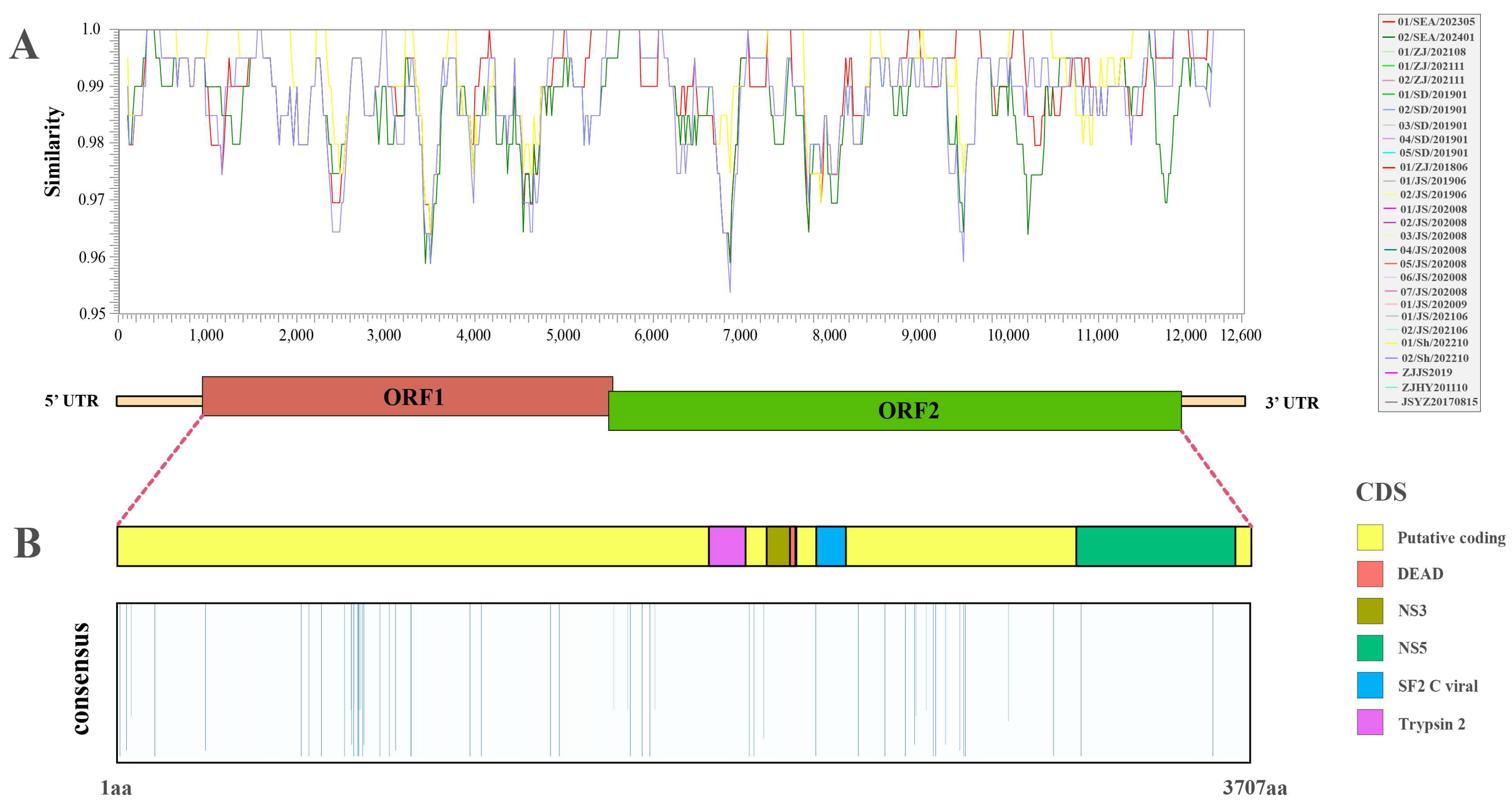 Viruses 17 00425 g002
