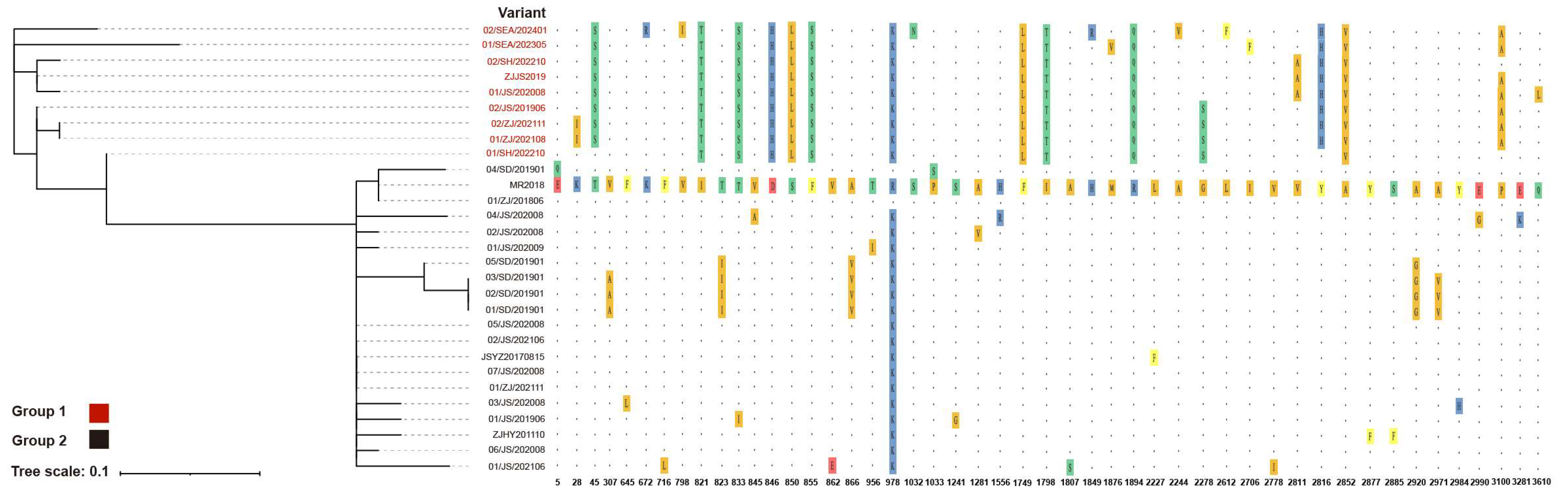 Viruses 17 00425 g003